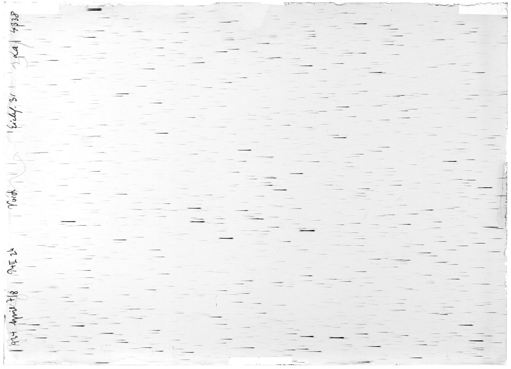 Scan LA04338