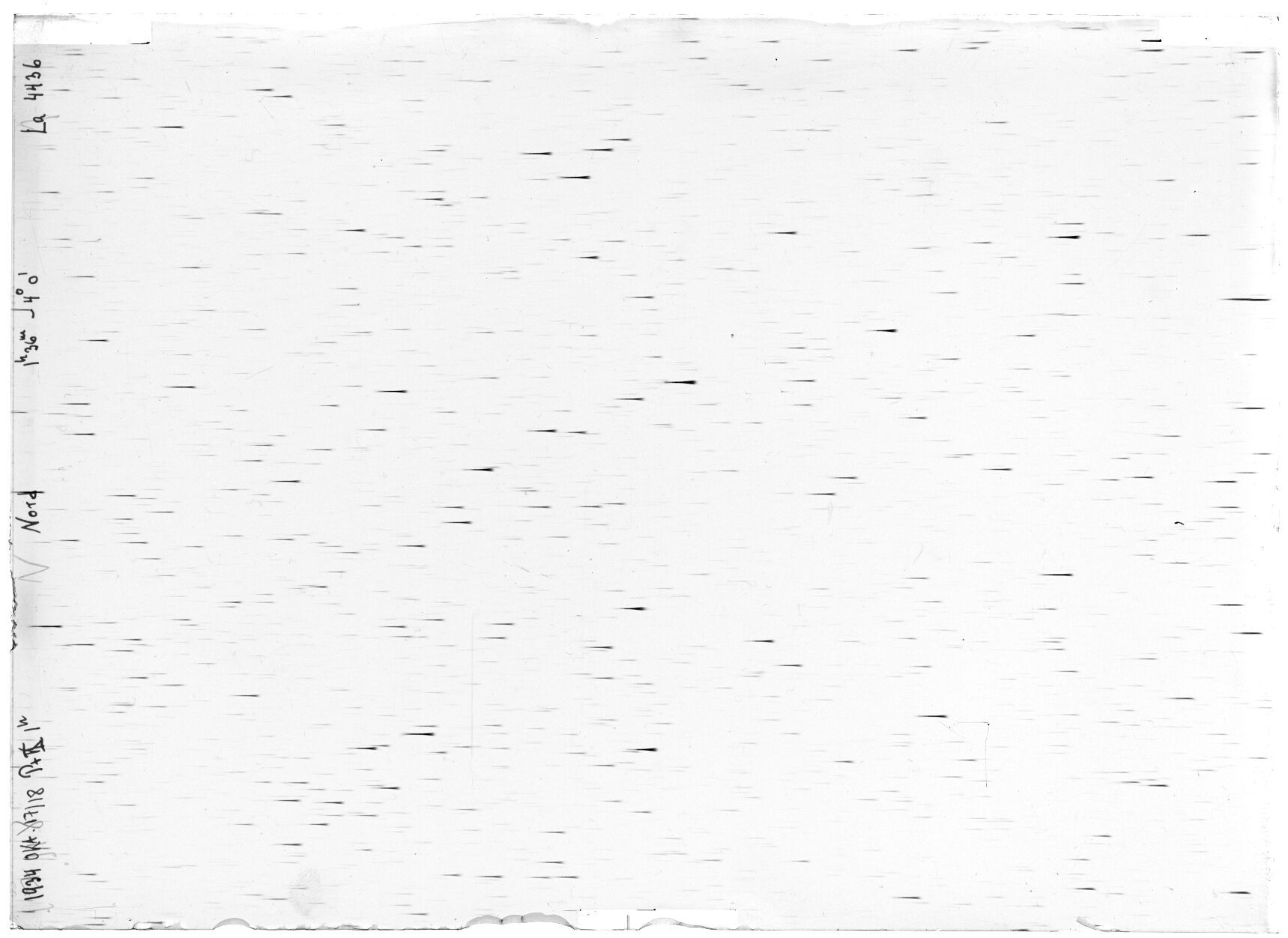Scan LA04436