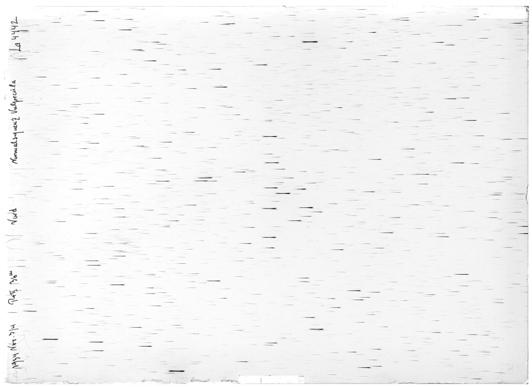 Scan LA04442