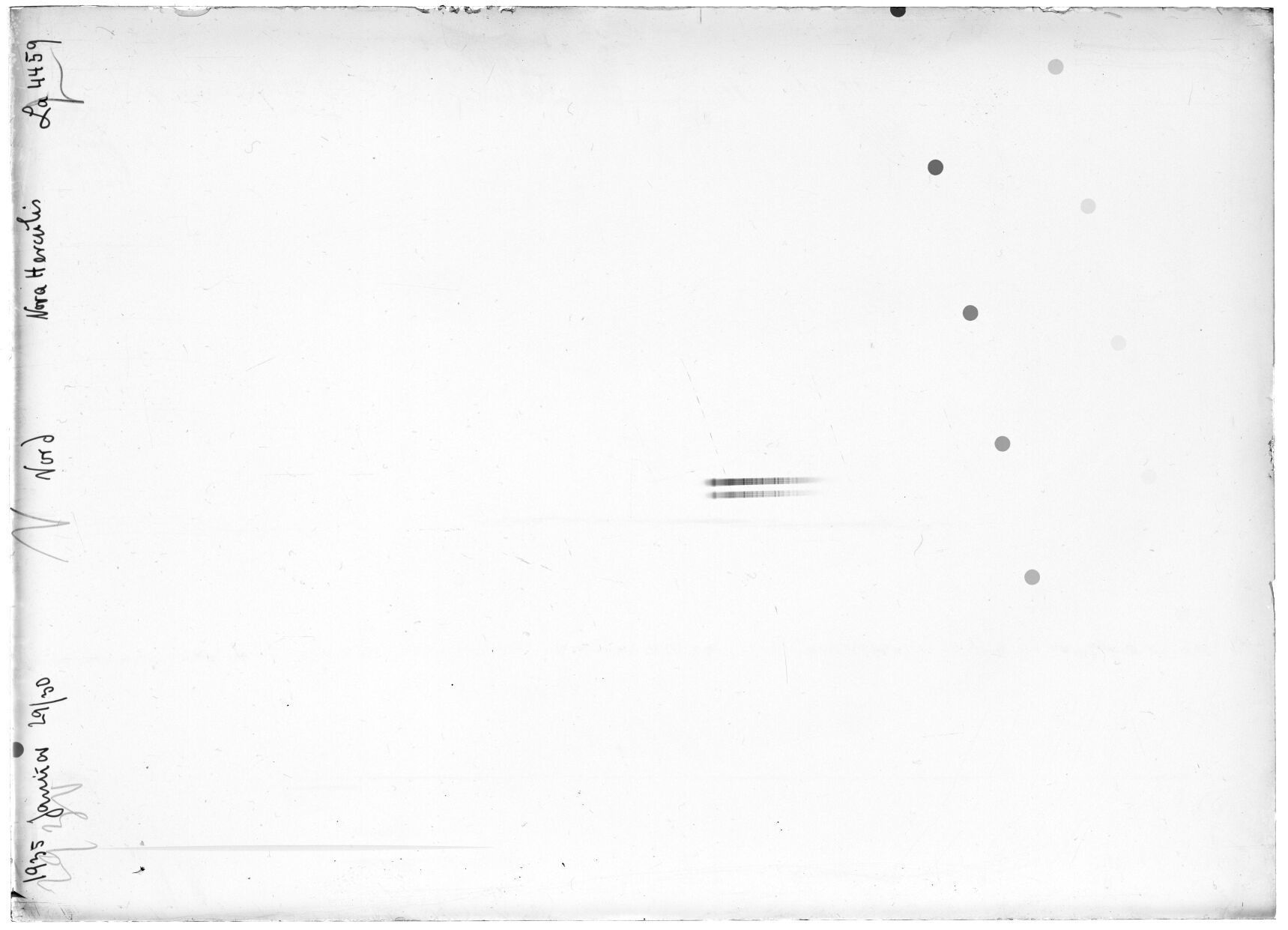 Scan LA04459