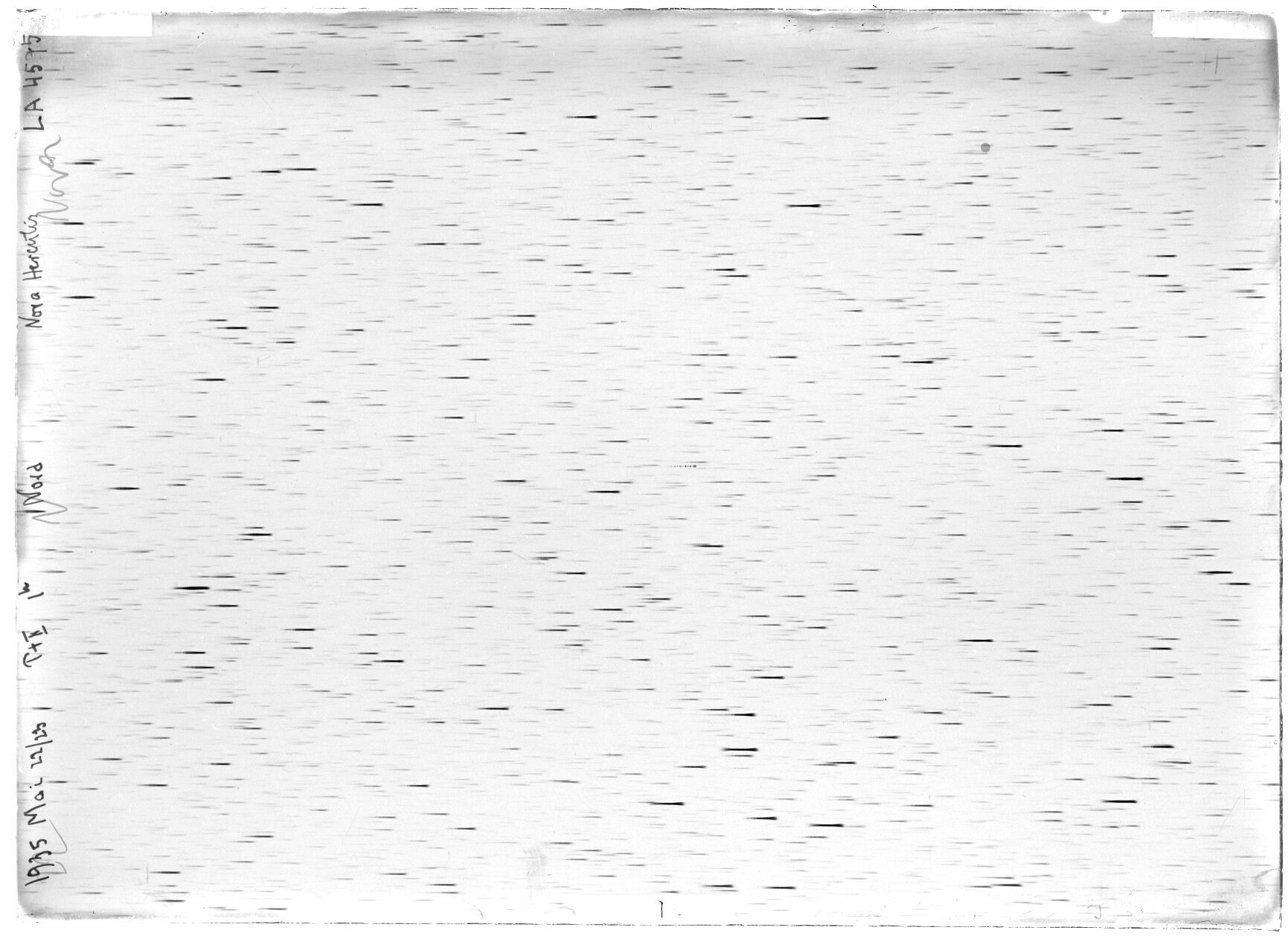 Scan LA04575