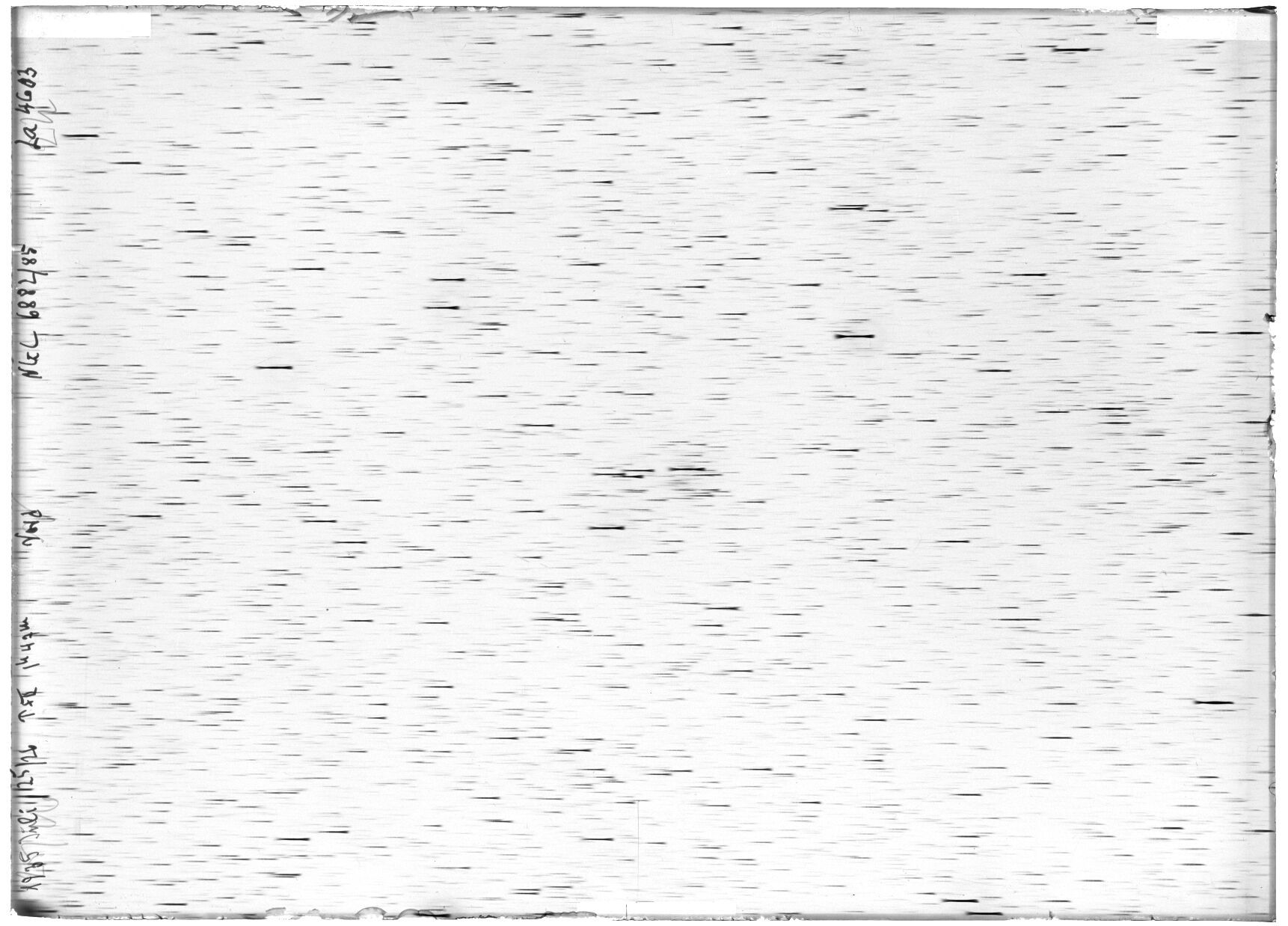 Scan LA04603