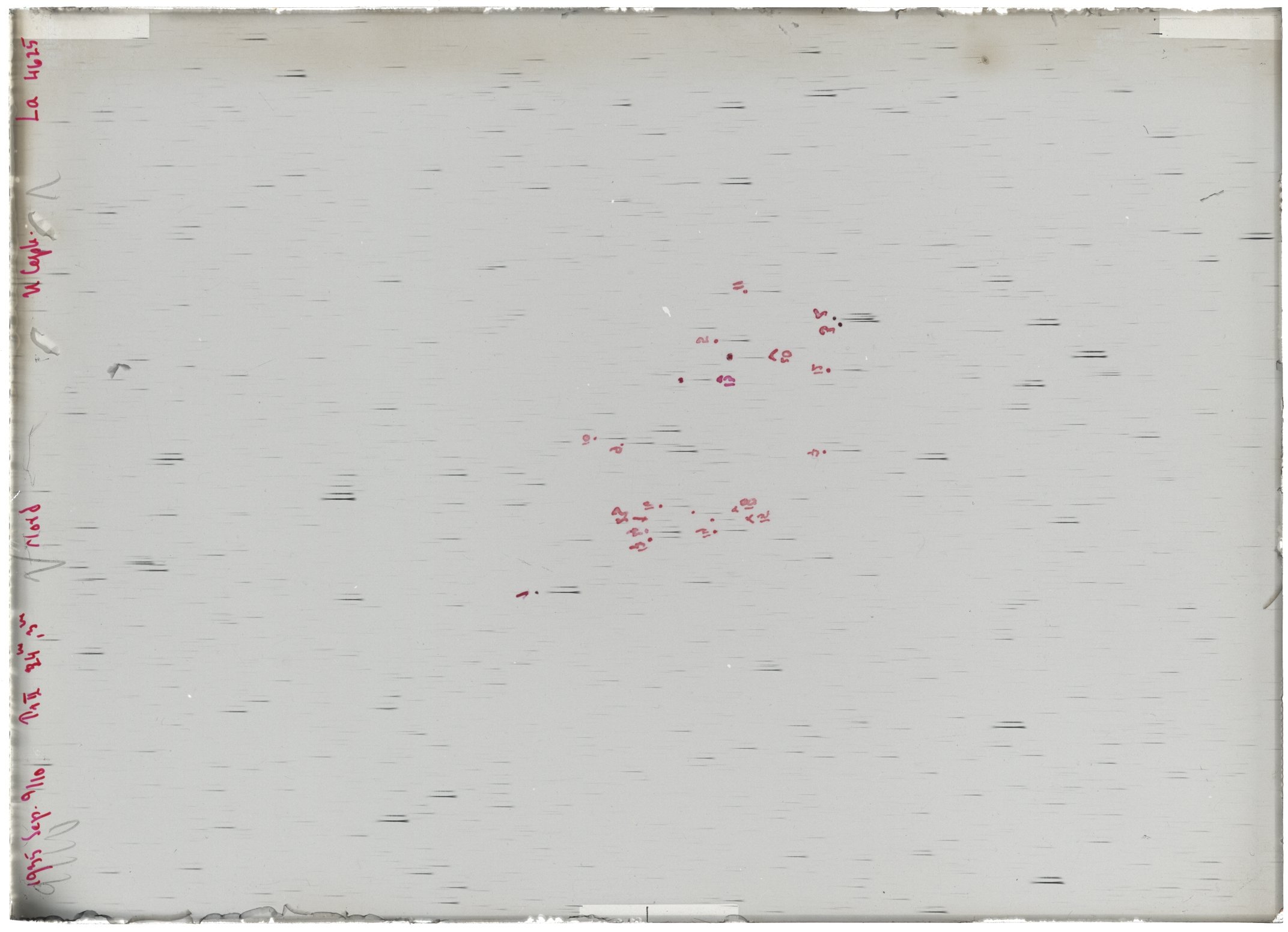 Scan LA04625