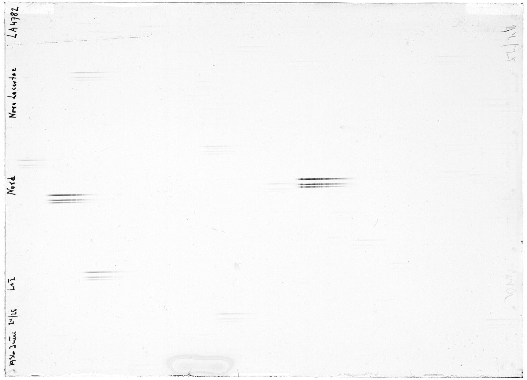 Scan LA04782