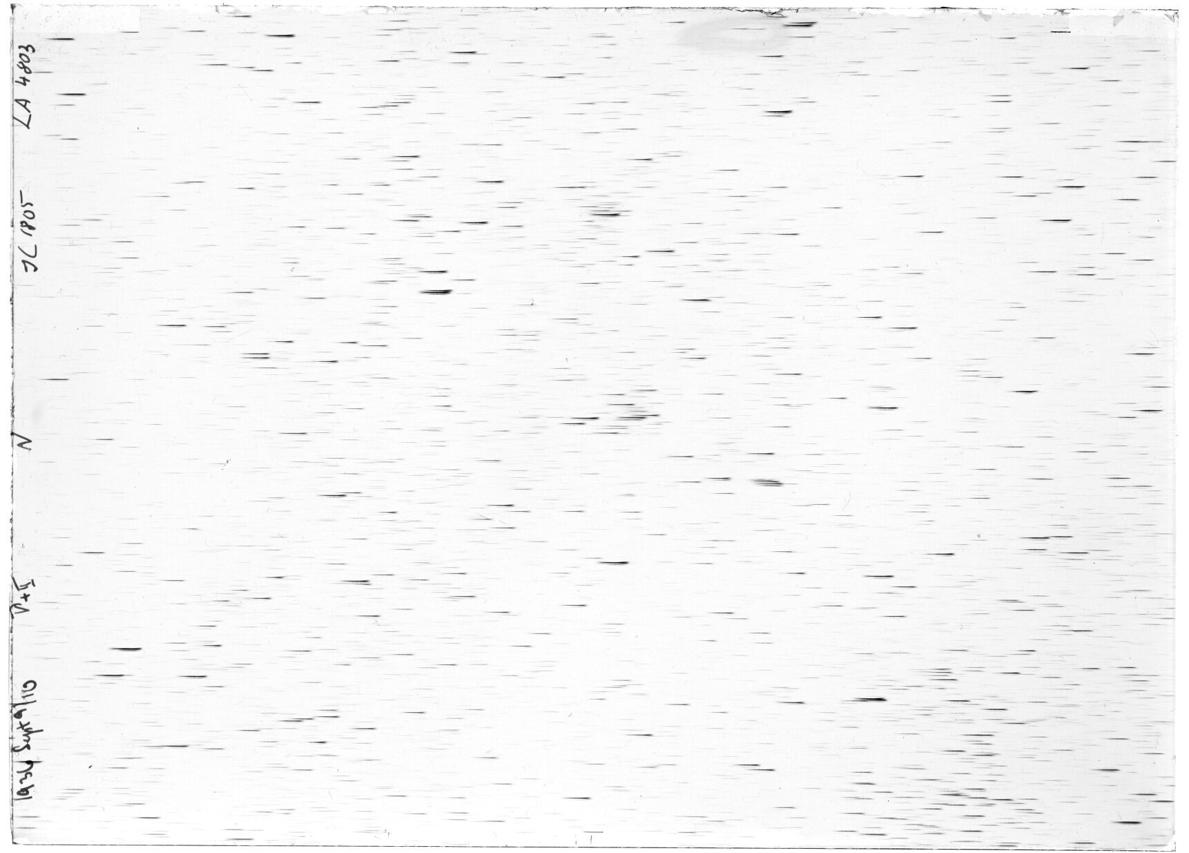 Scan LA04803
