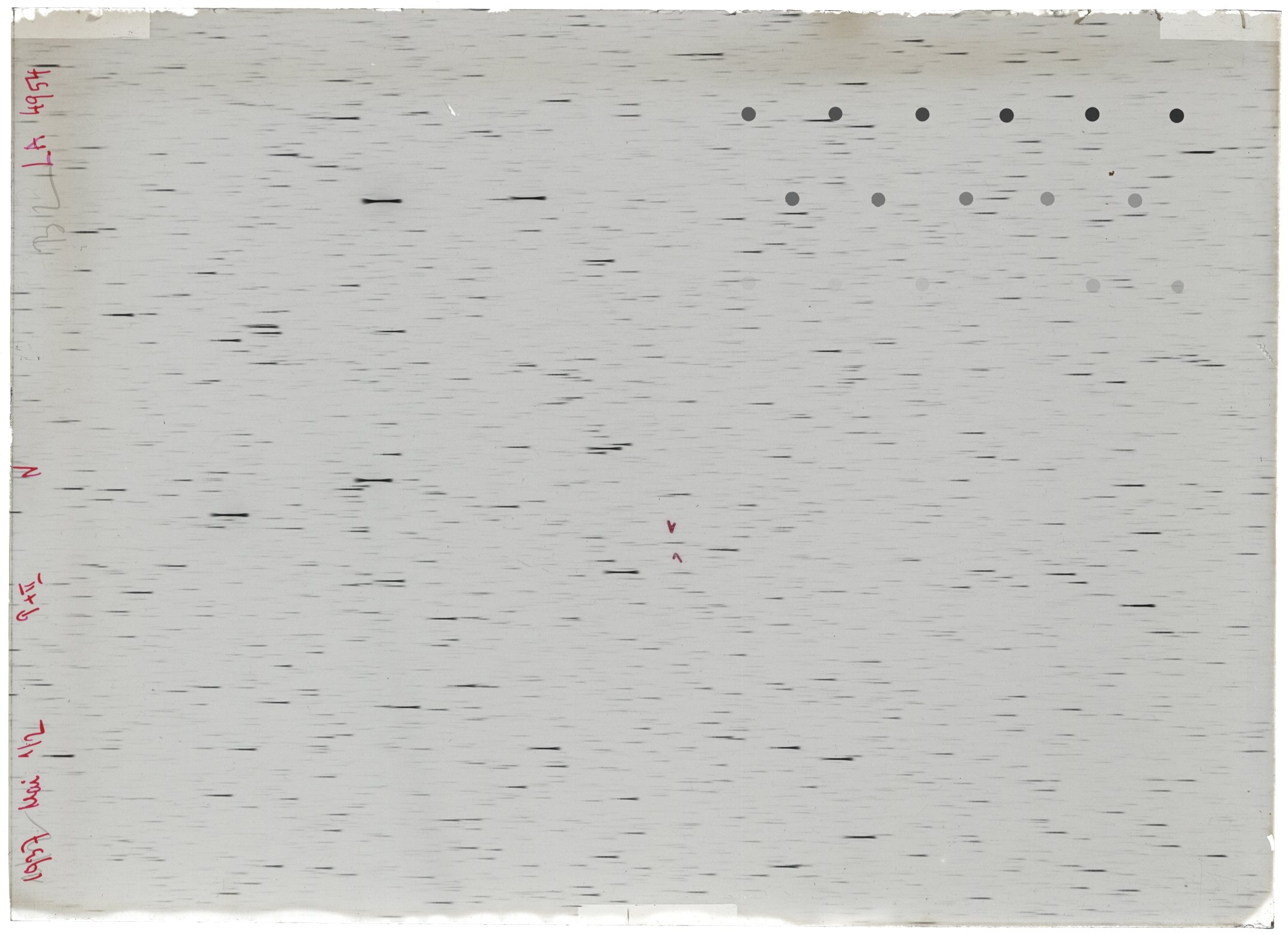 Scan LA04954