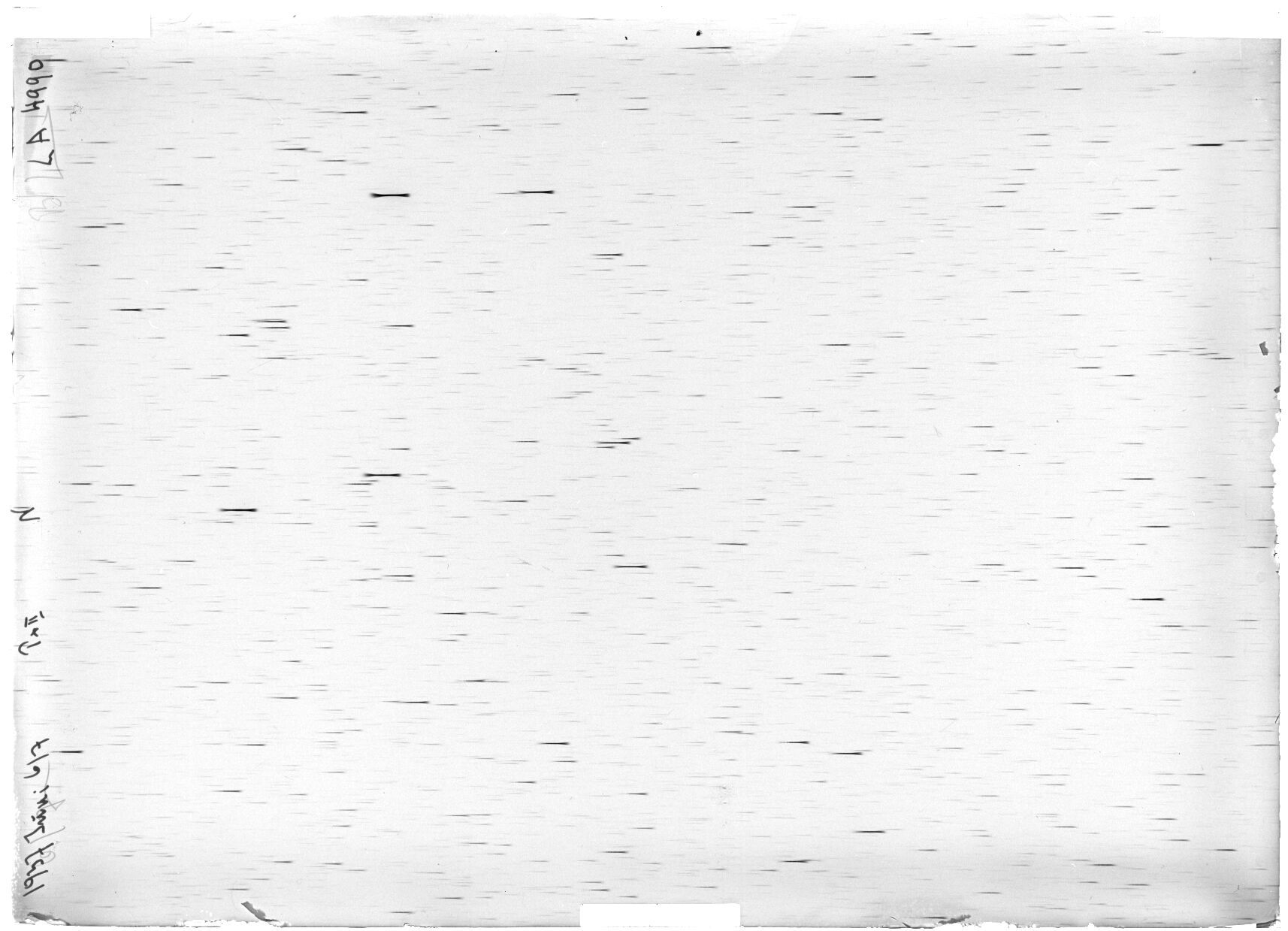 Scan LA04990