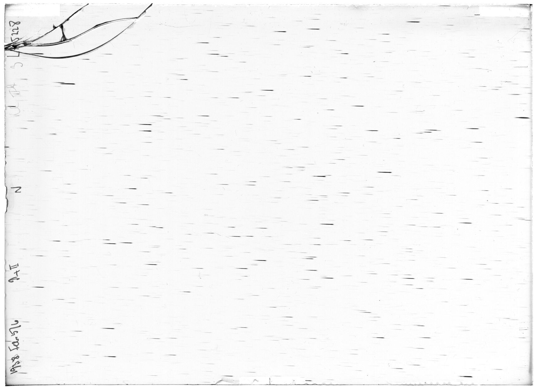 Scan LA05228
