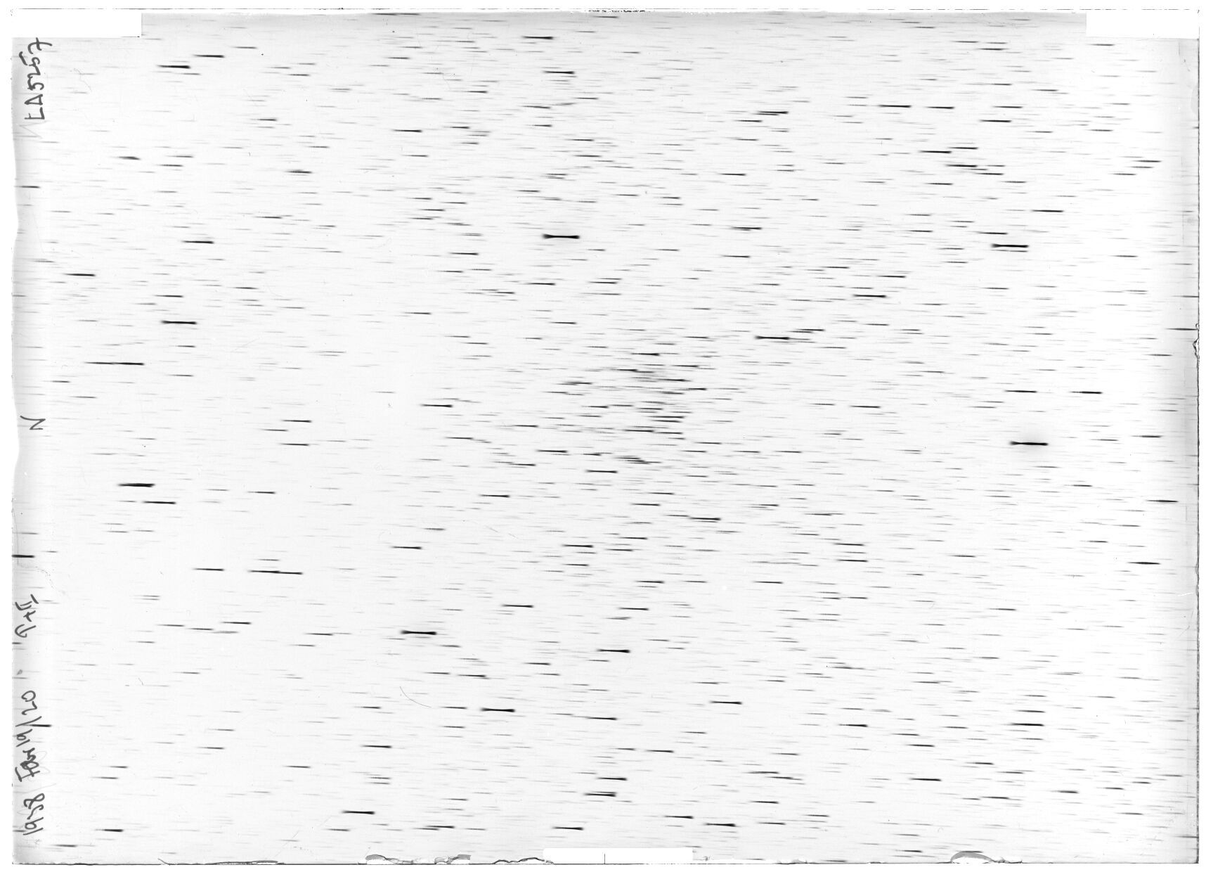 Scan LA05257