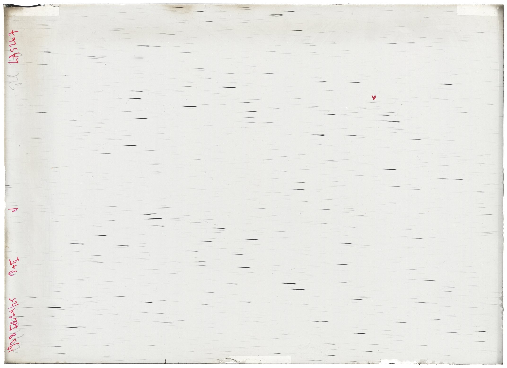 Scan LA05267