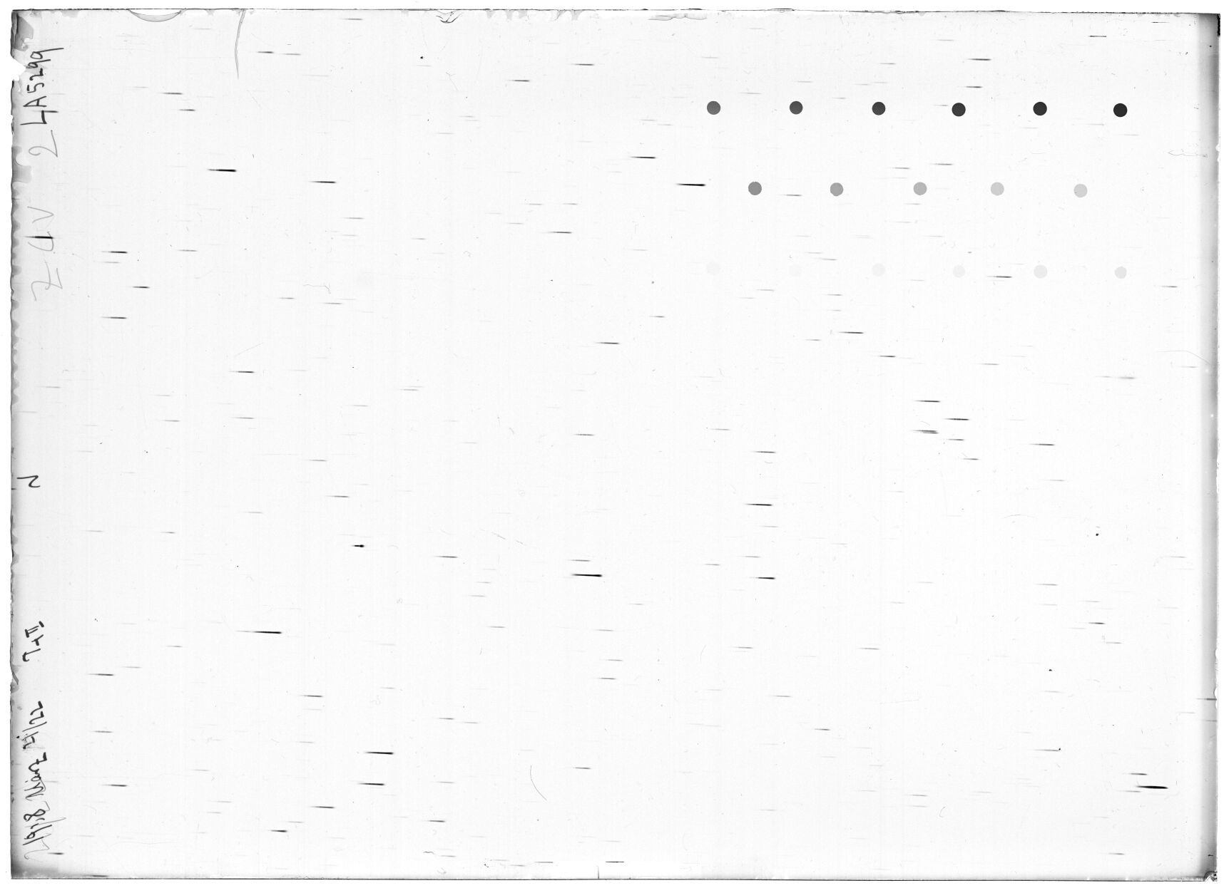 Scan LA05299