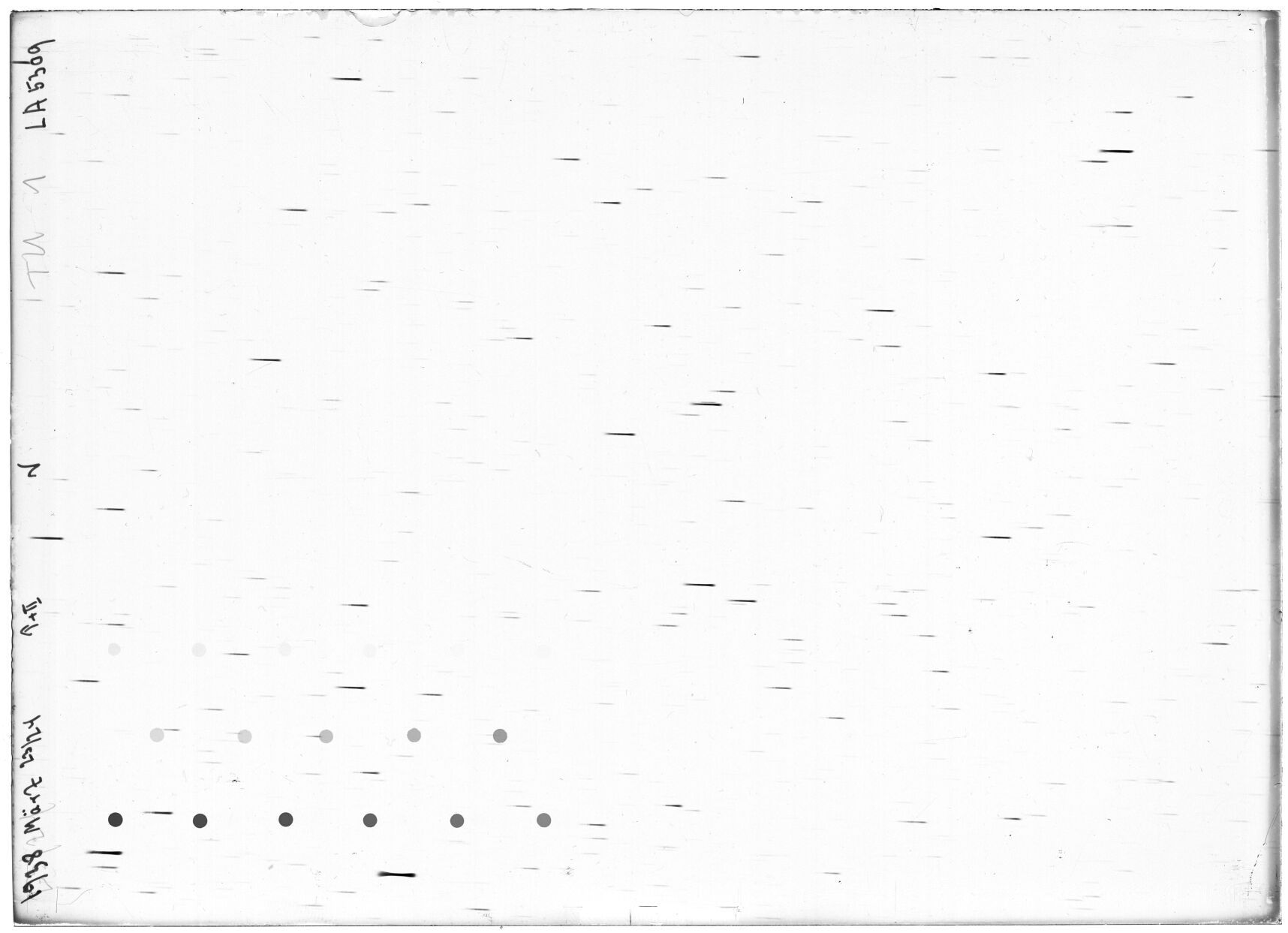 Scan LA05309