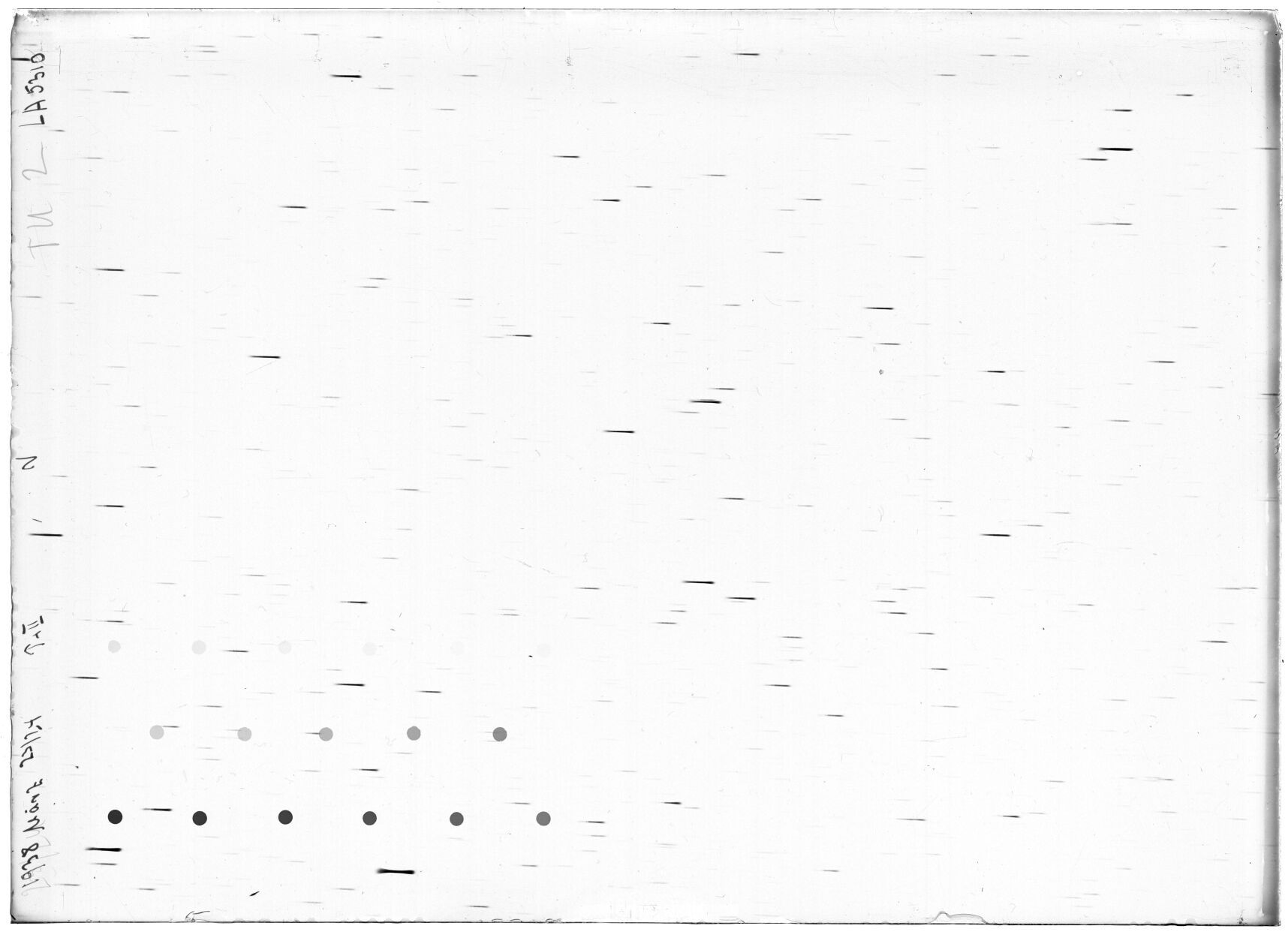 Scan LA05310