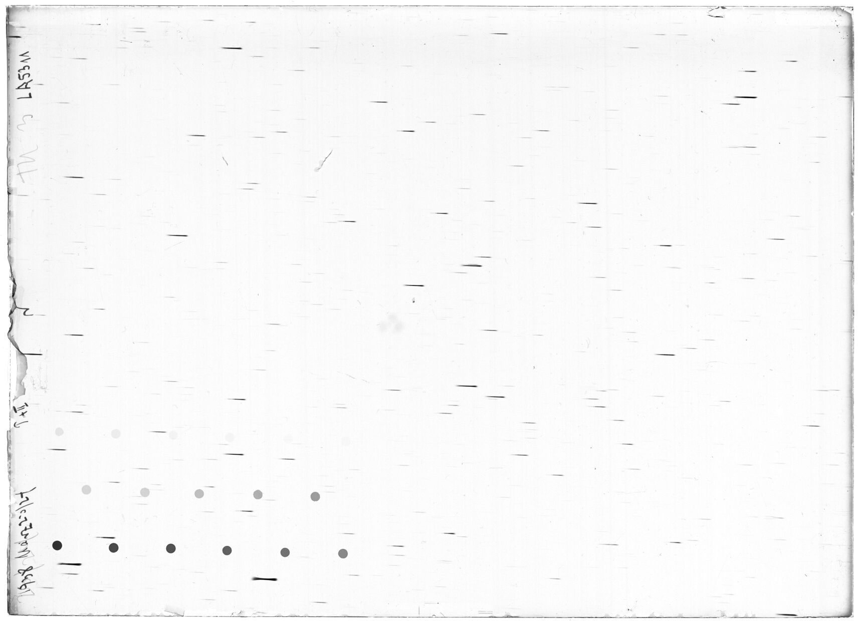 Scan LA05311