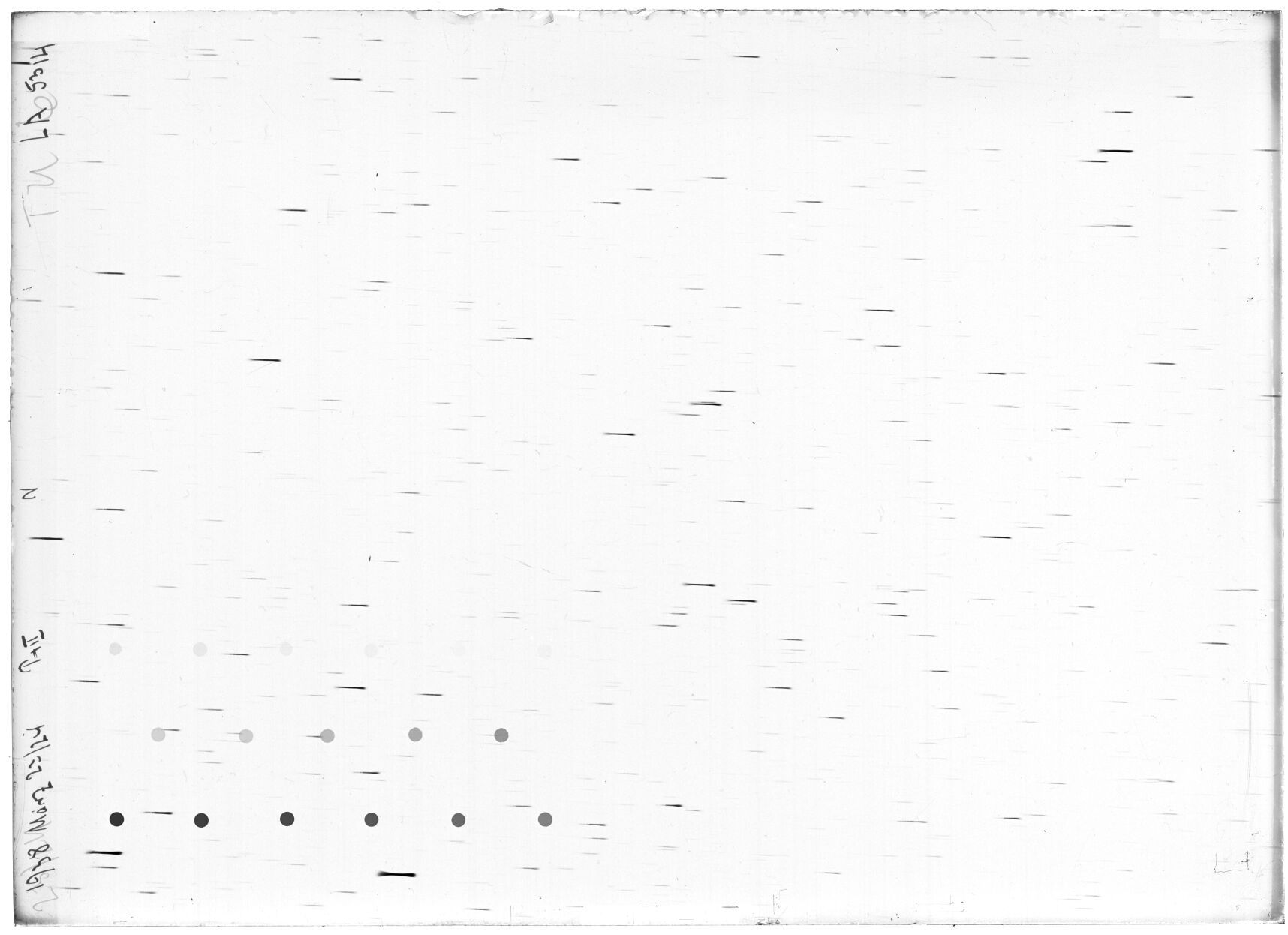 Scan LA05314