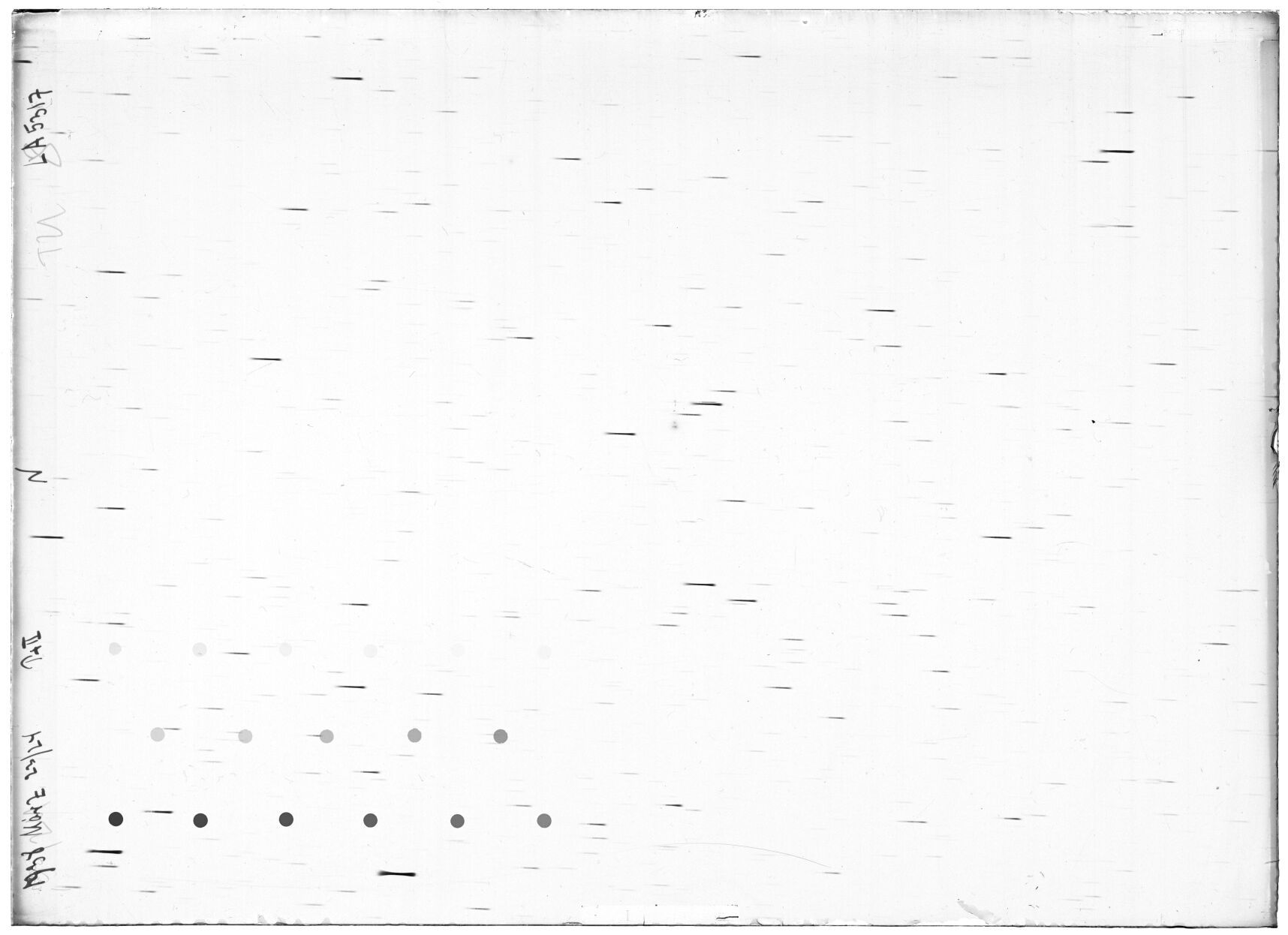 Scan LA05317