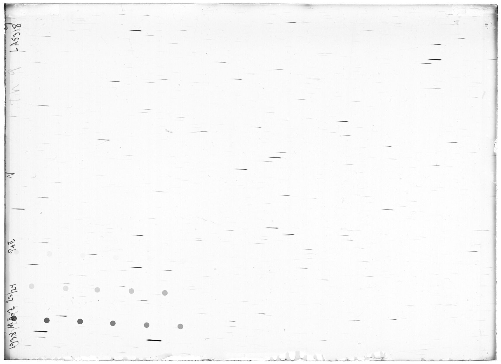 Scan LA05318