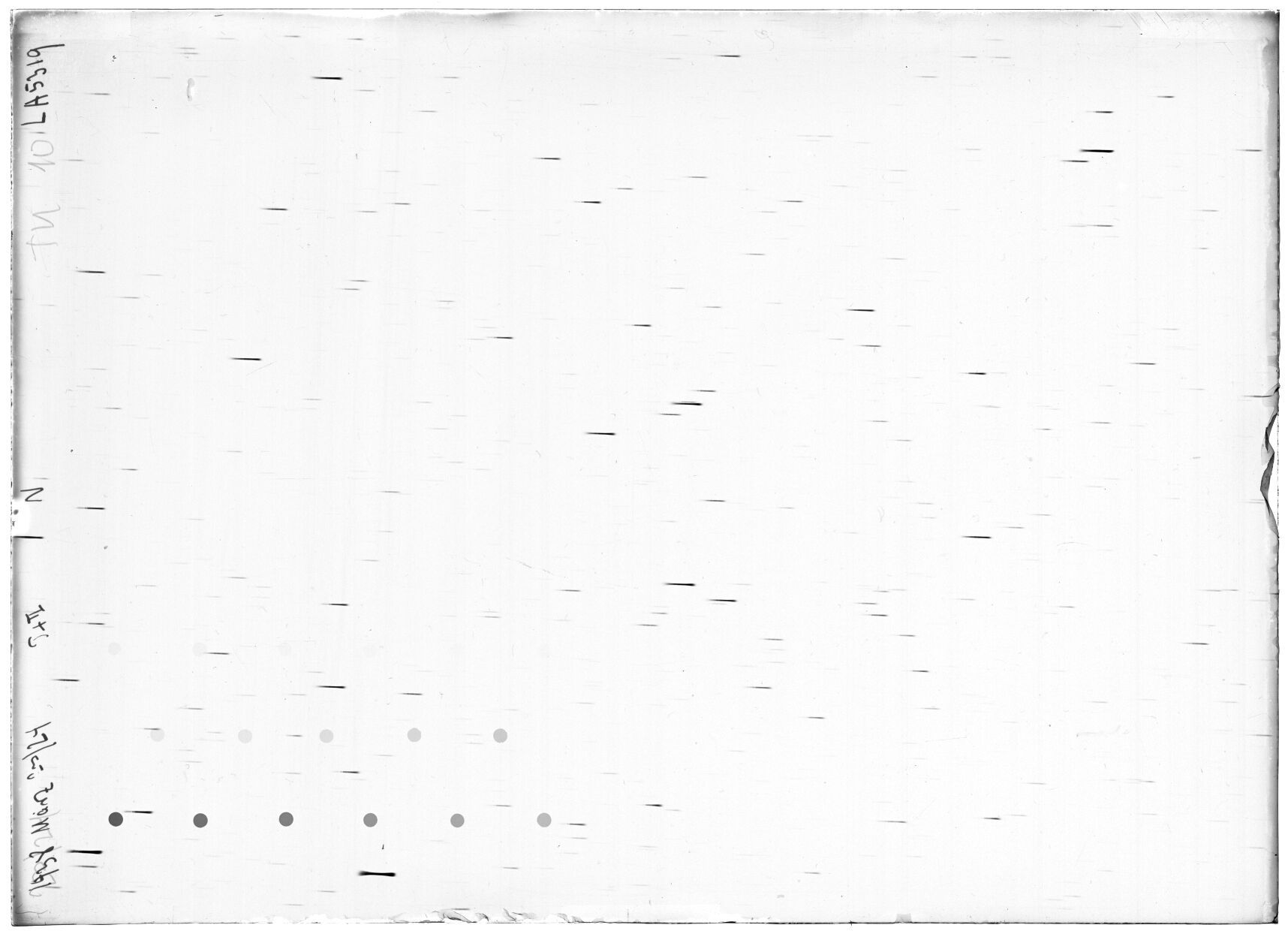 Scan LA05319