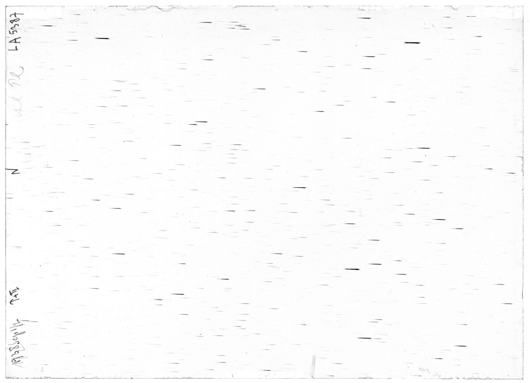 Scan LA05387
