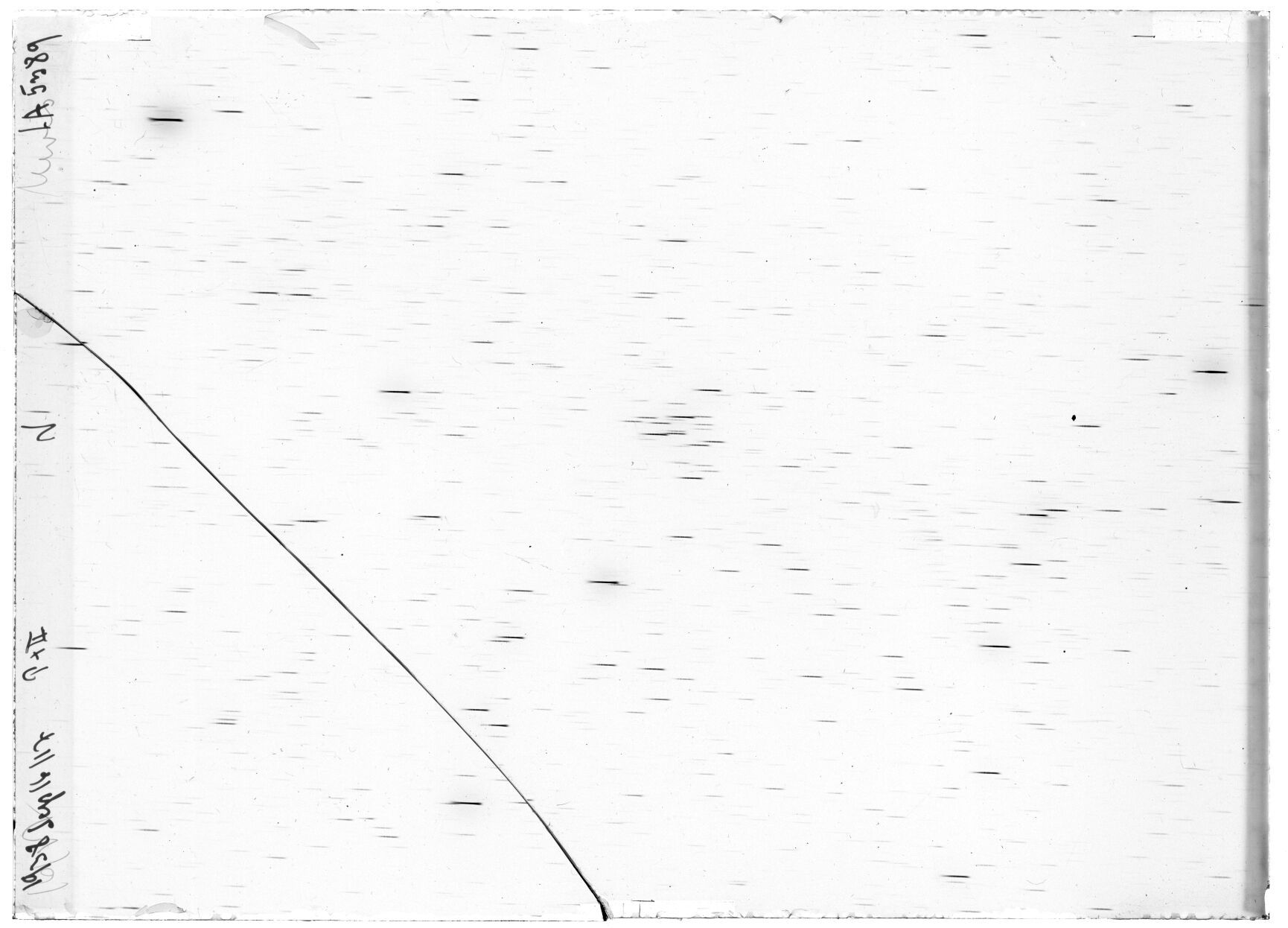 Scan LA05389
