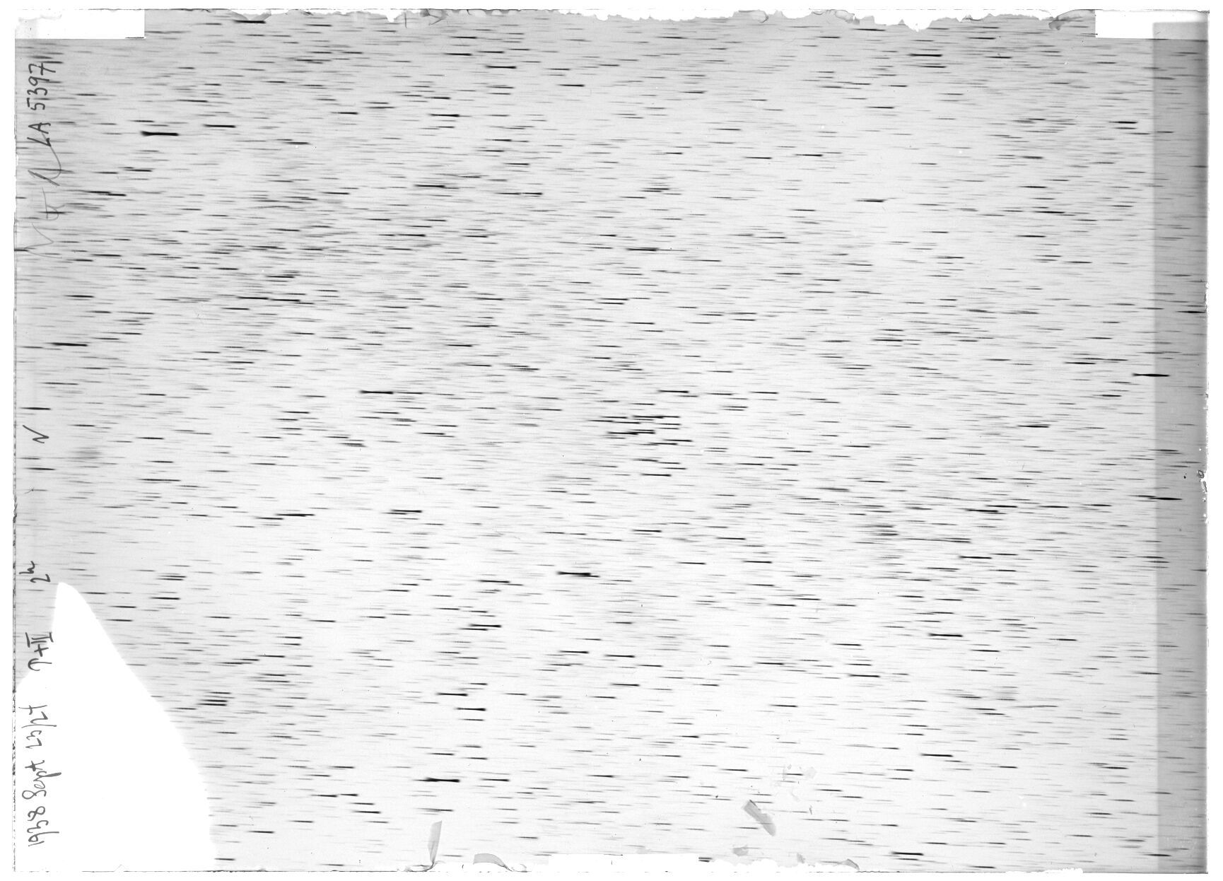 Scan LA05397