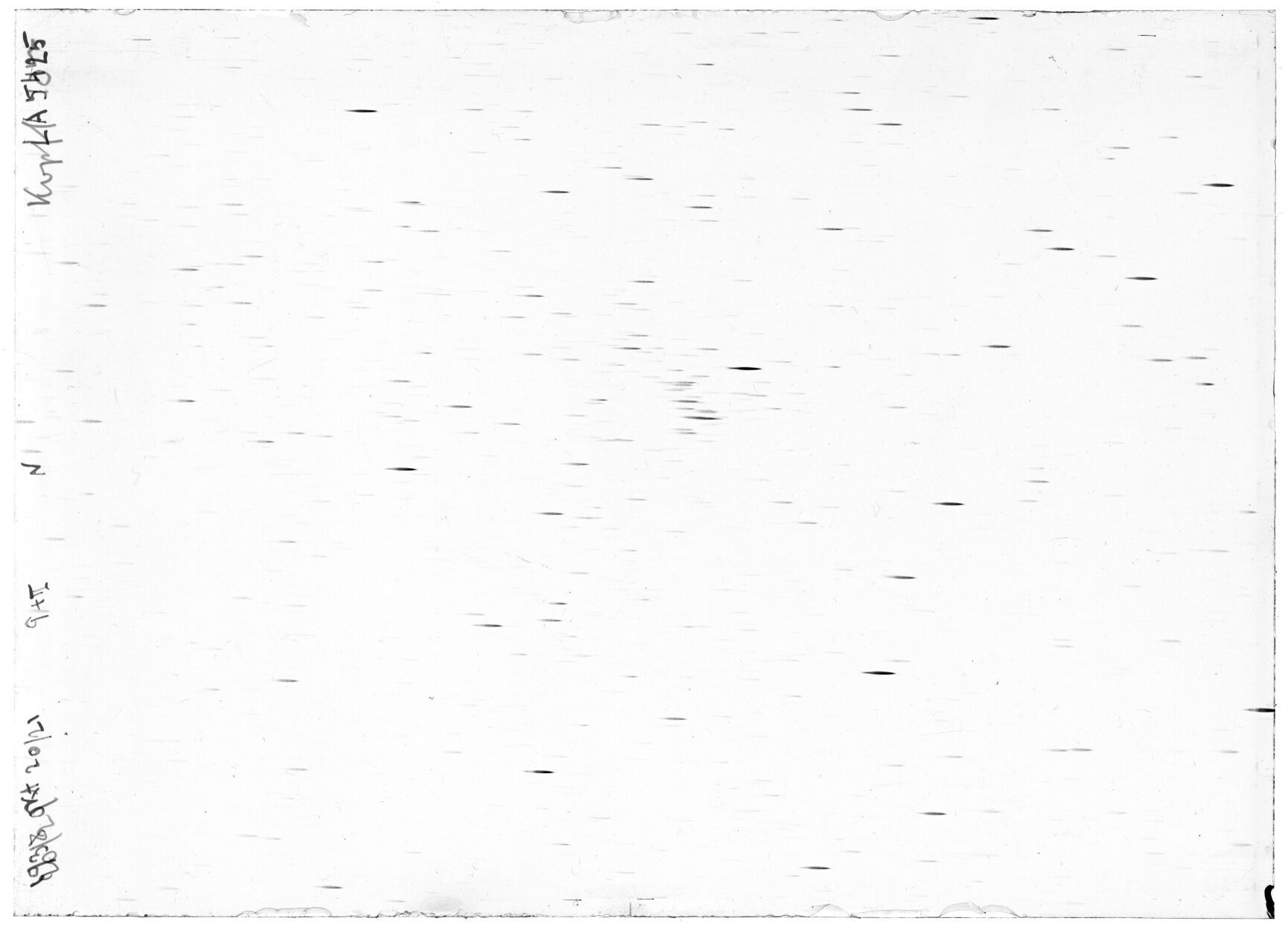 Scan LA05425