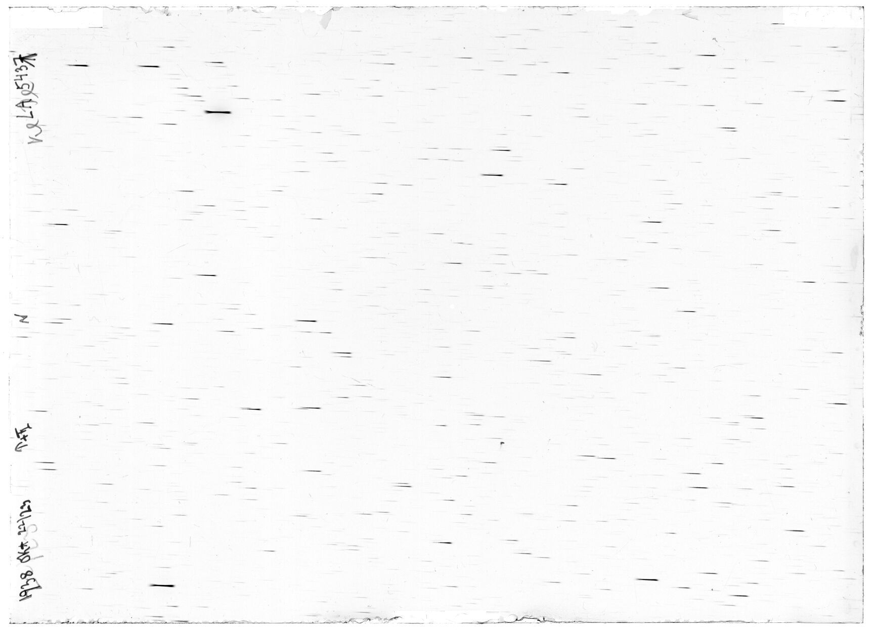 Scan LA05437