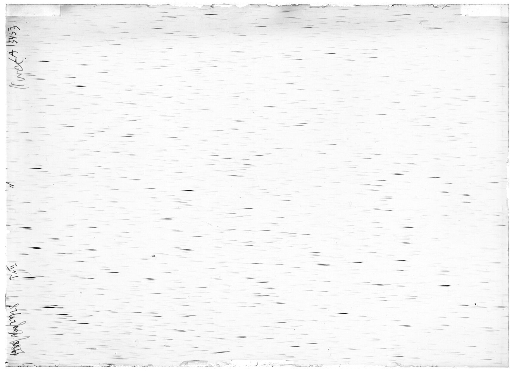 Scan LA05453