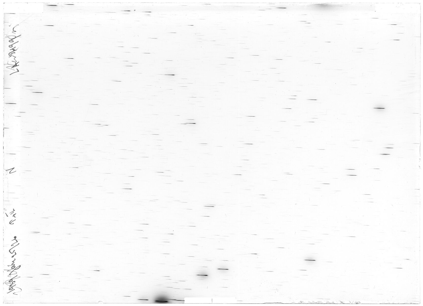 Scan LA05499