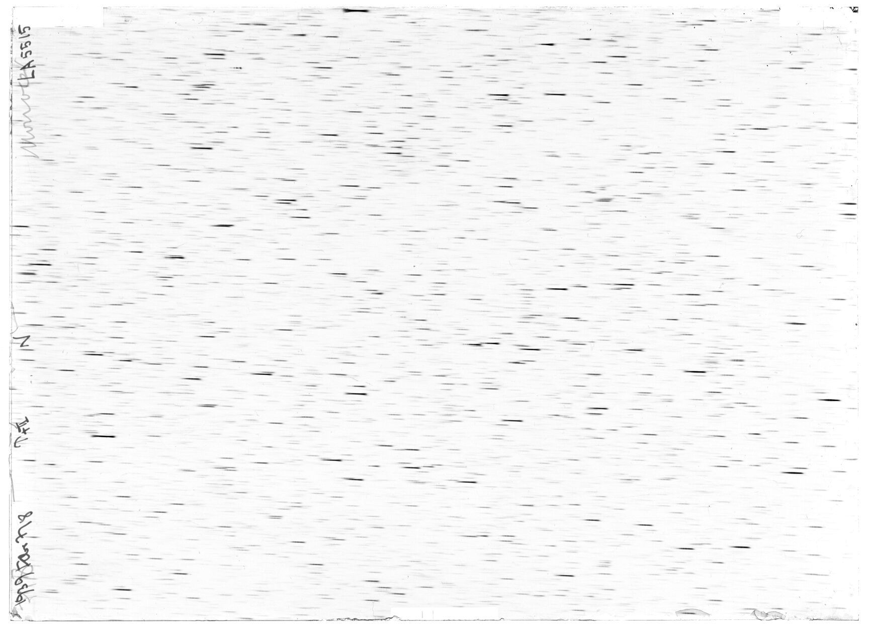 Scan LA05515