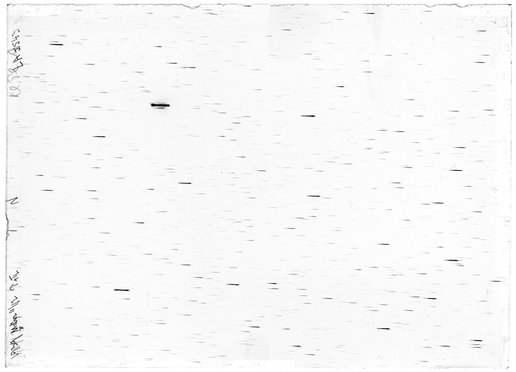 Scan LA05543