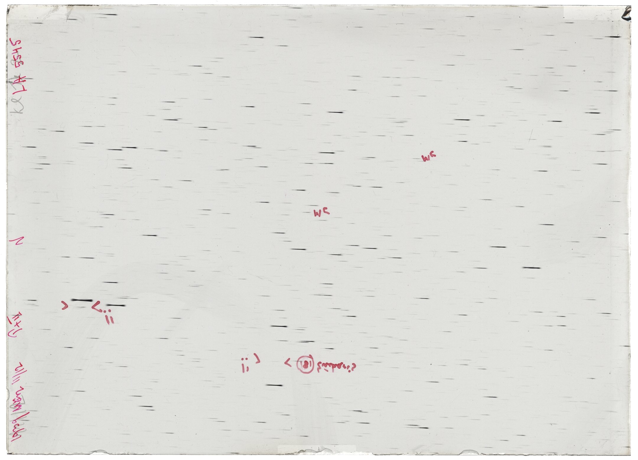 Scan LA05545