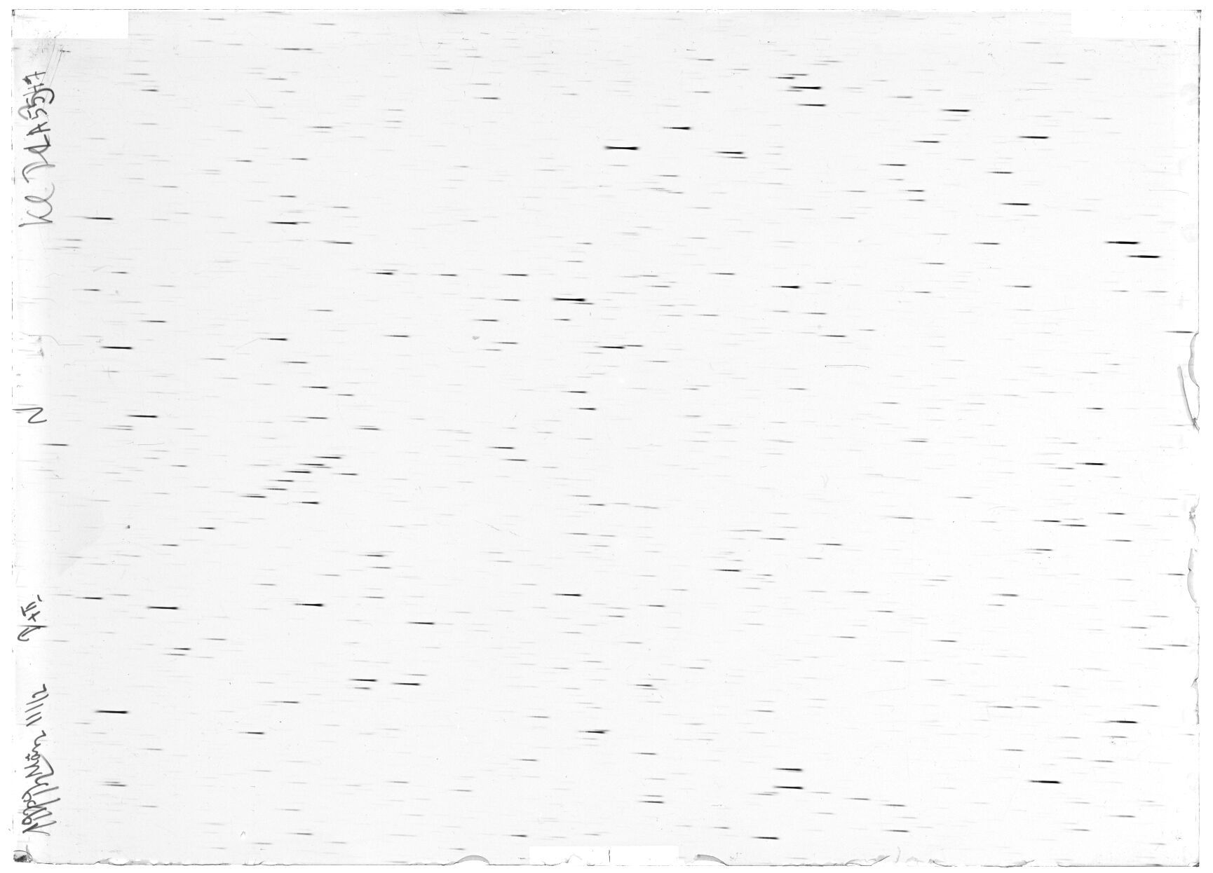 Scan LA05547