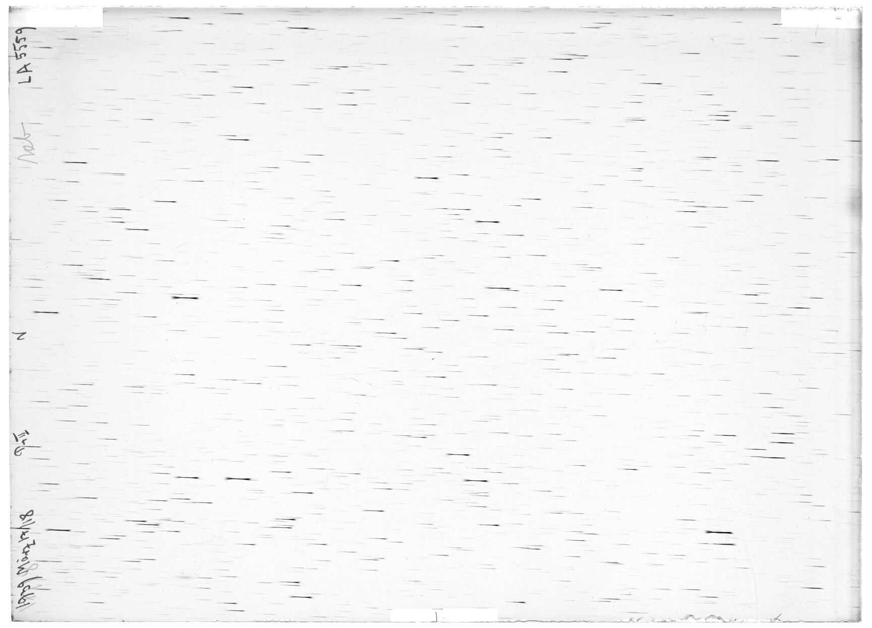 Scan LA05559