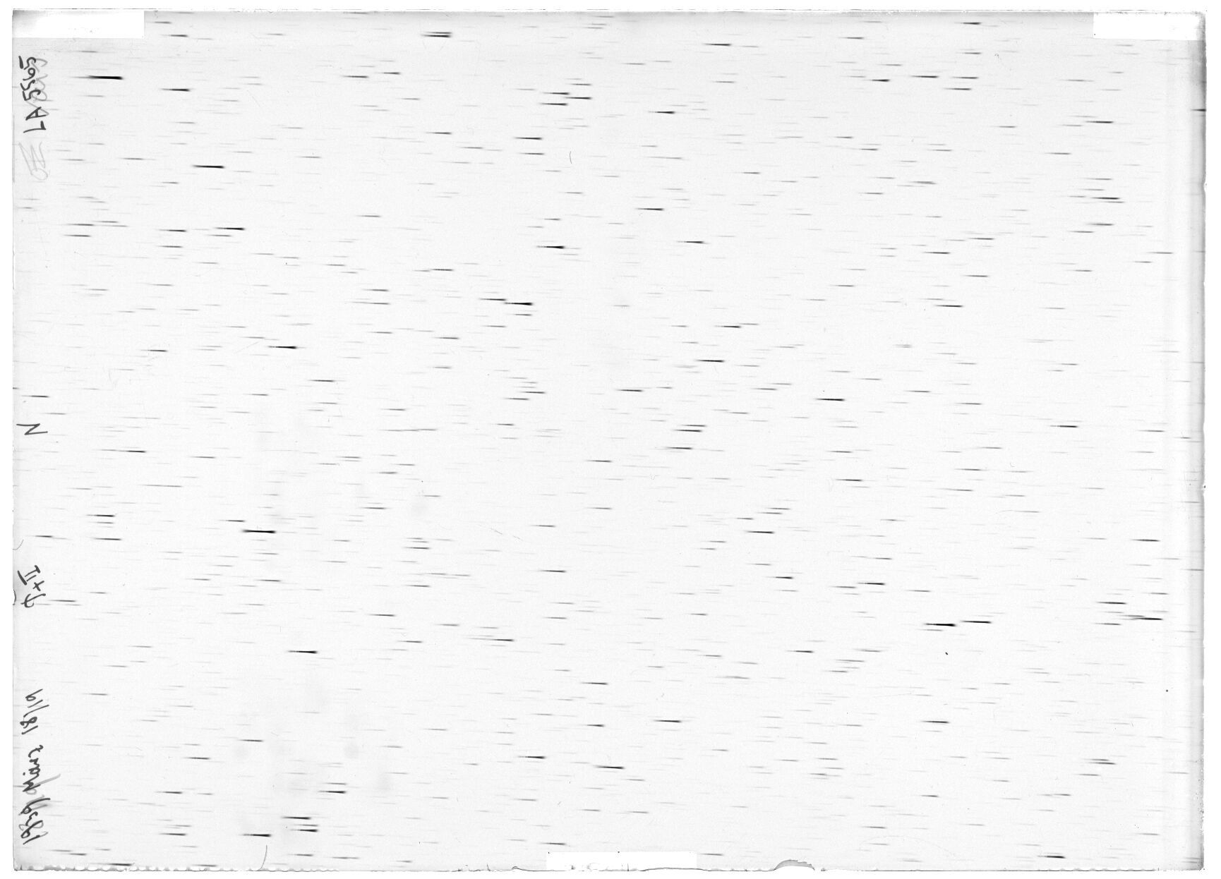 Scan LA05565