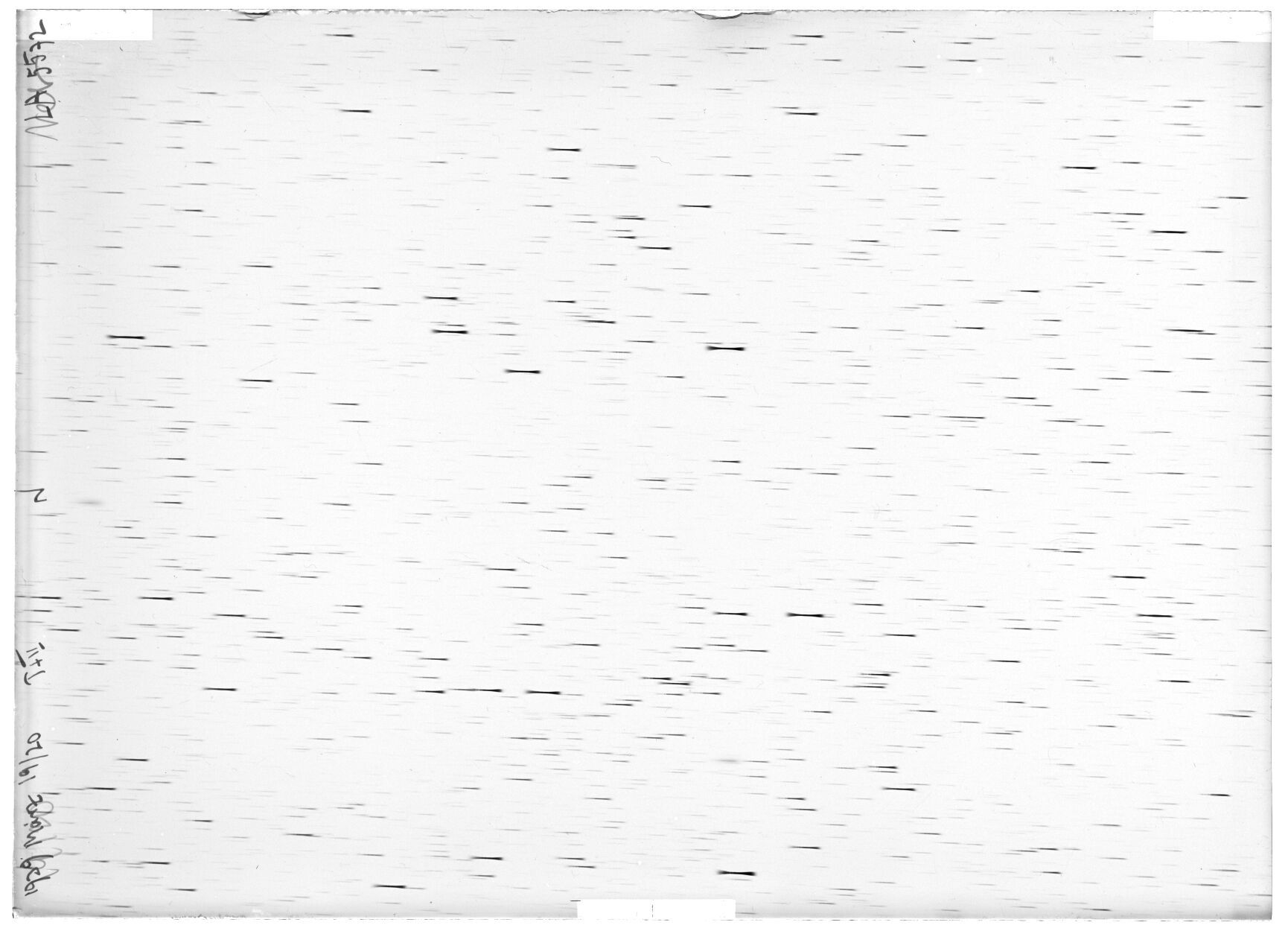 Scan LA05572