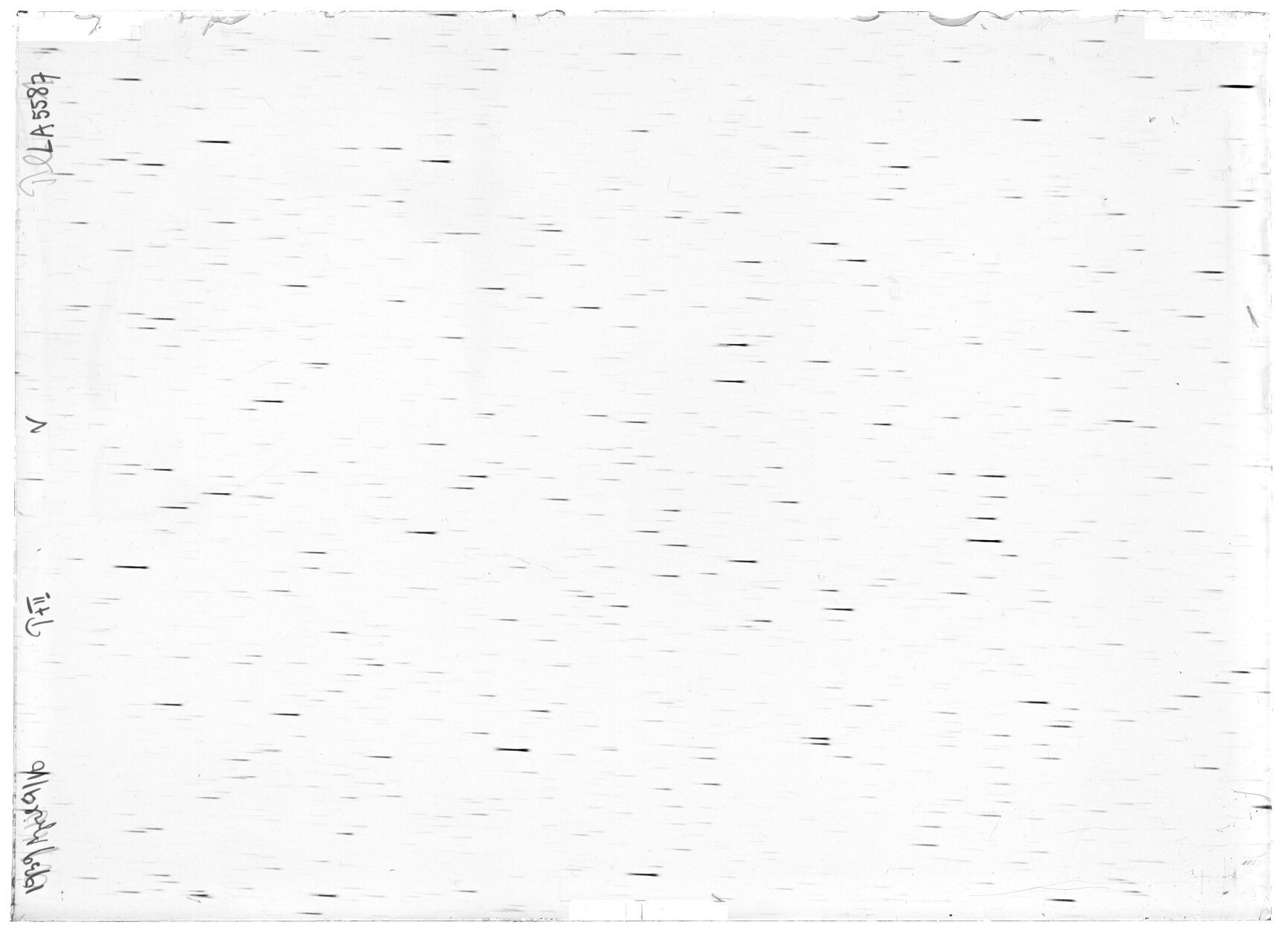 Scan LA05587