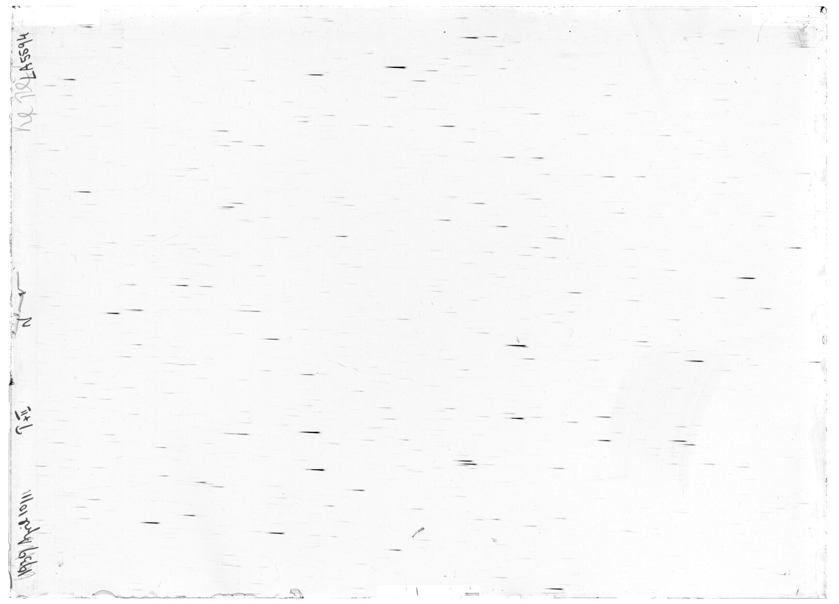 Scan LA05594