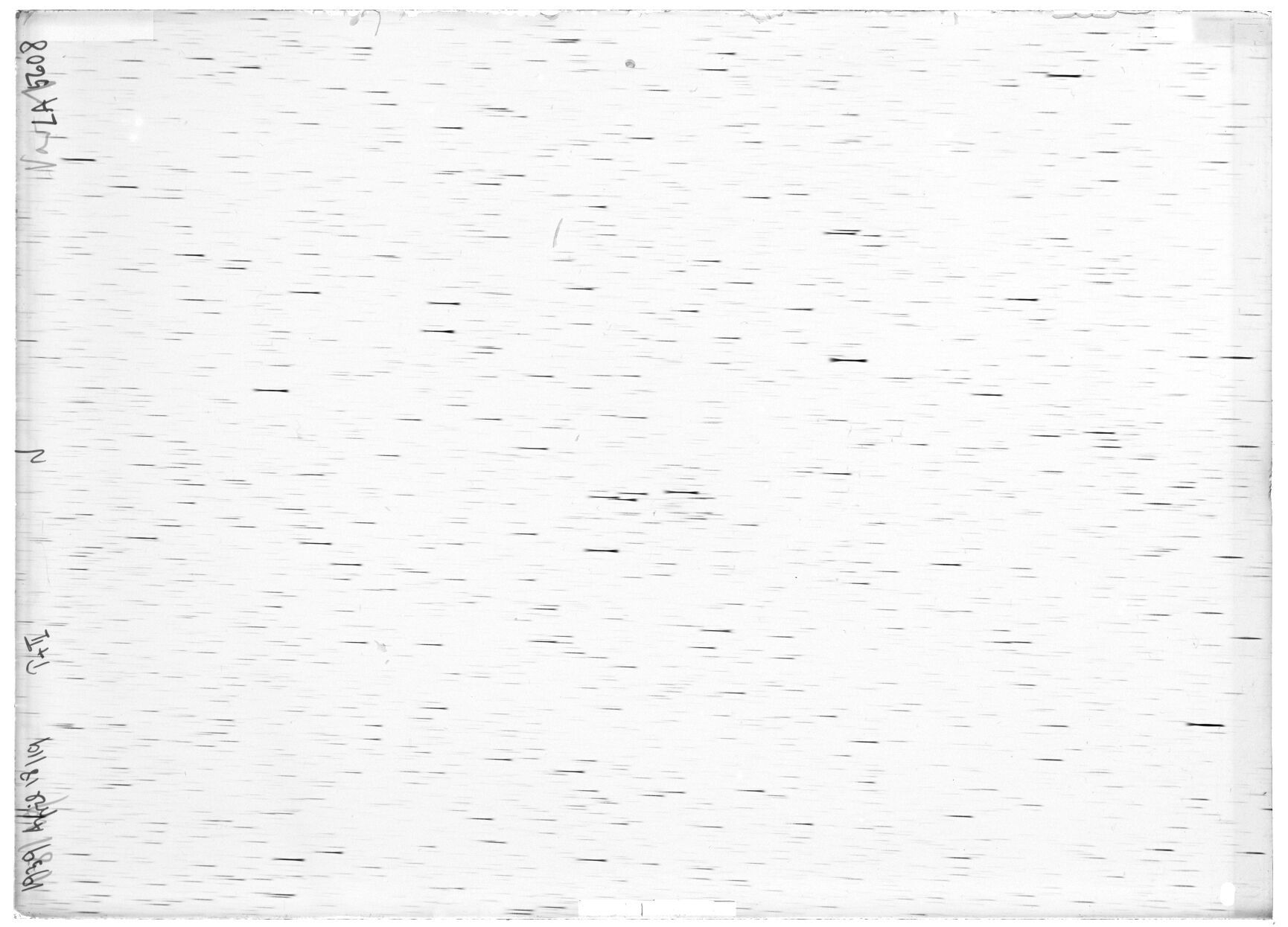 Scan LA05608