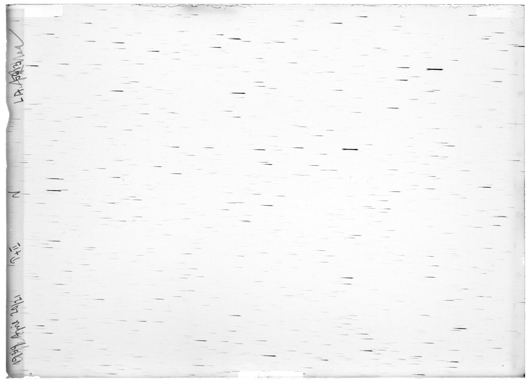 Scan LA05613