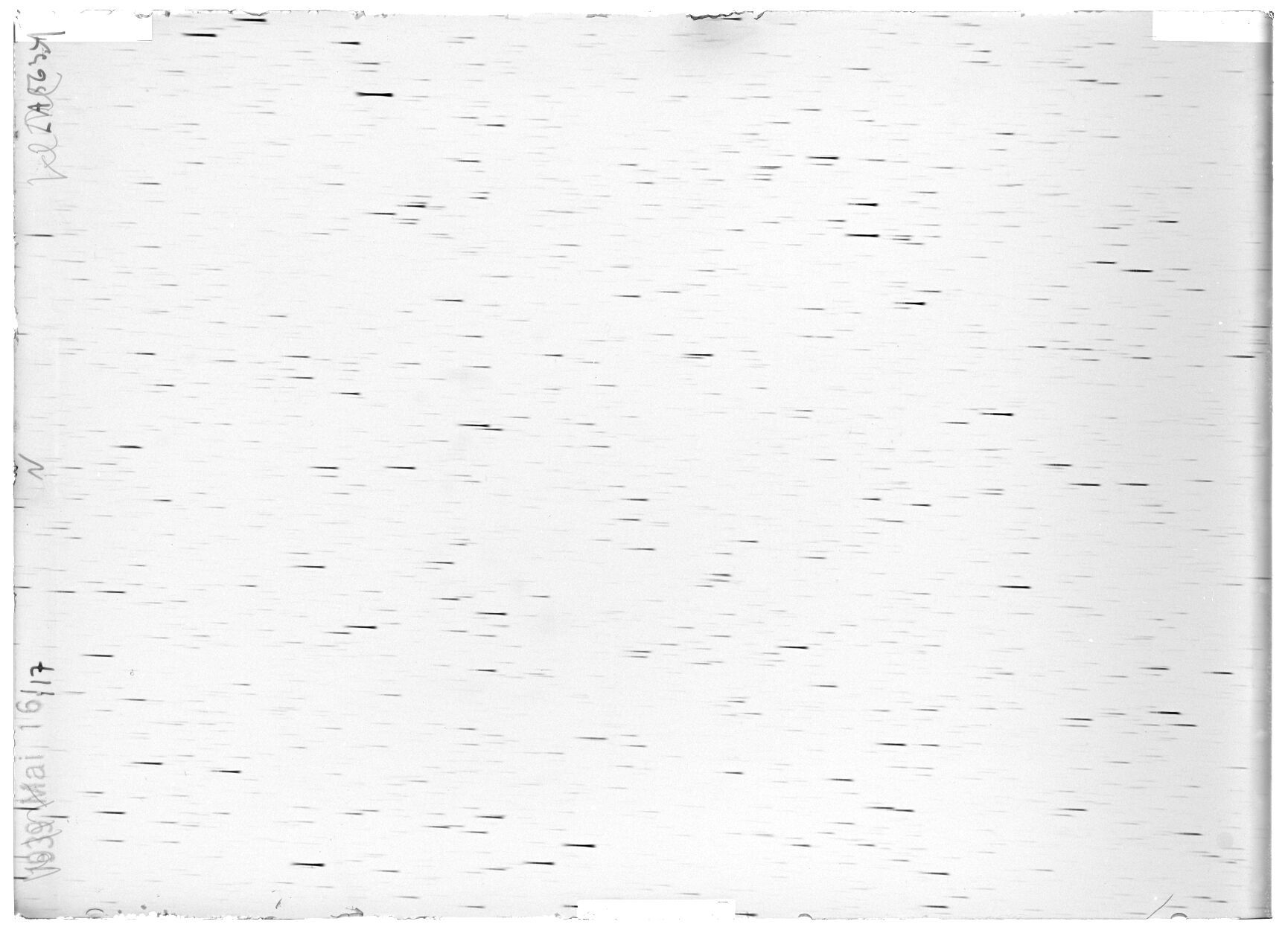 Scan LA05634