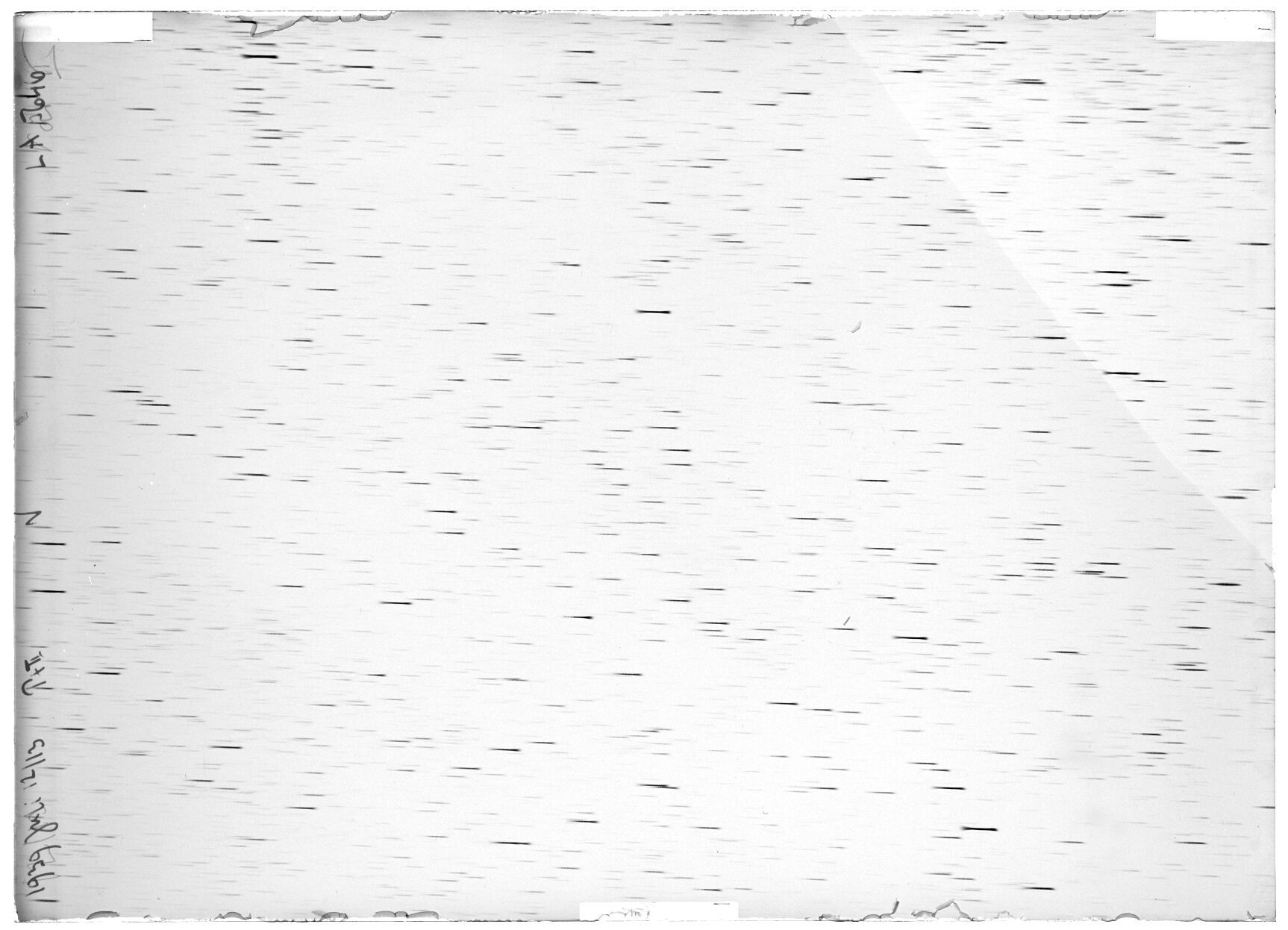 Scan LA05646