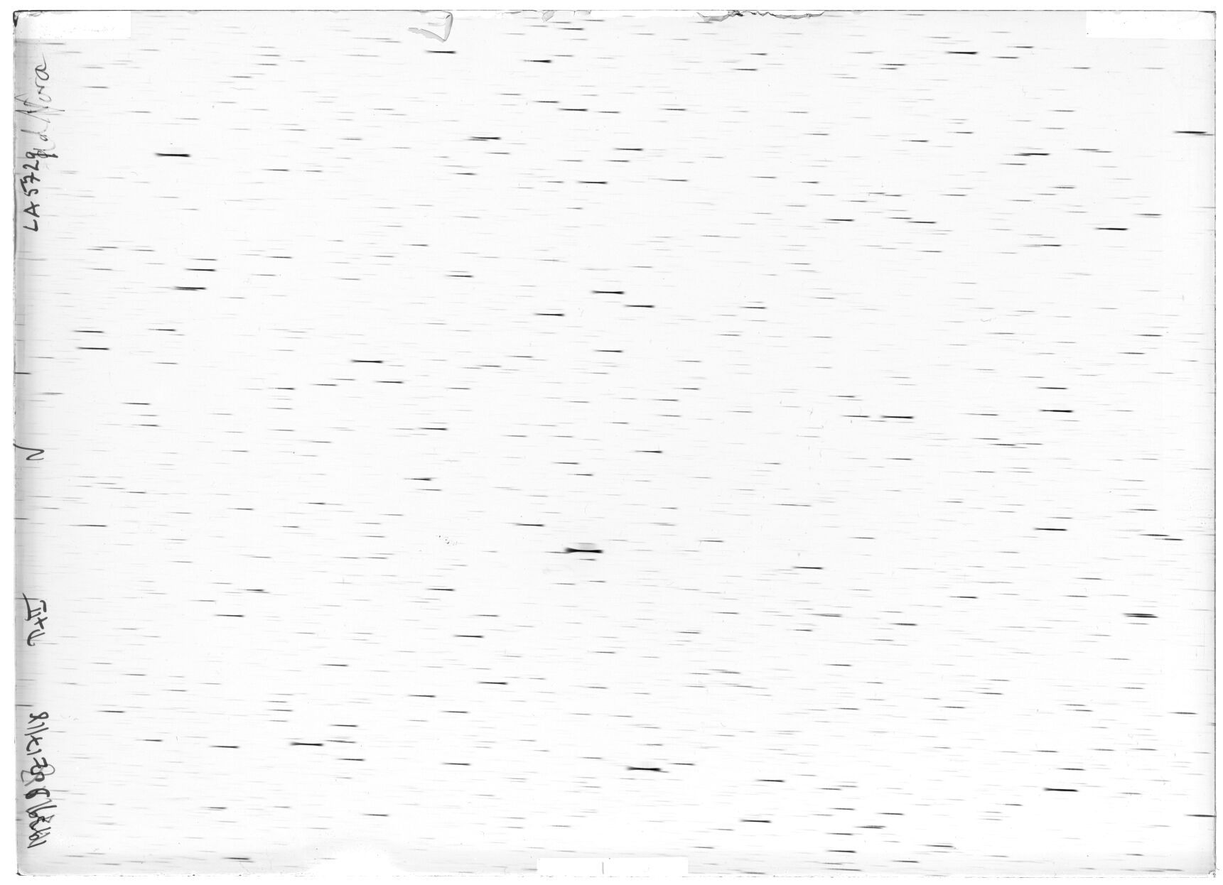 Scan LA05729