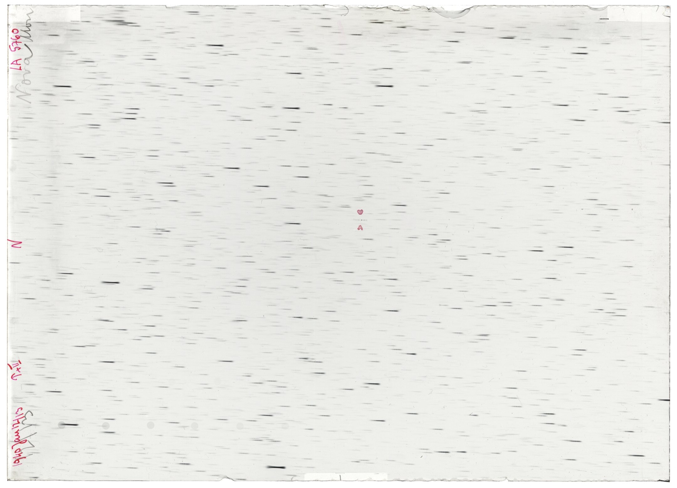 Scan LA05760