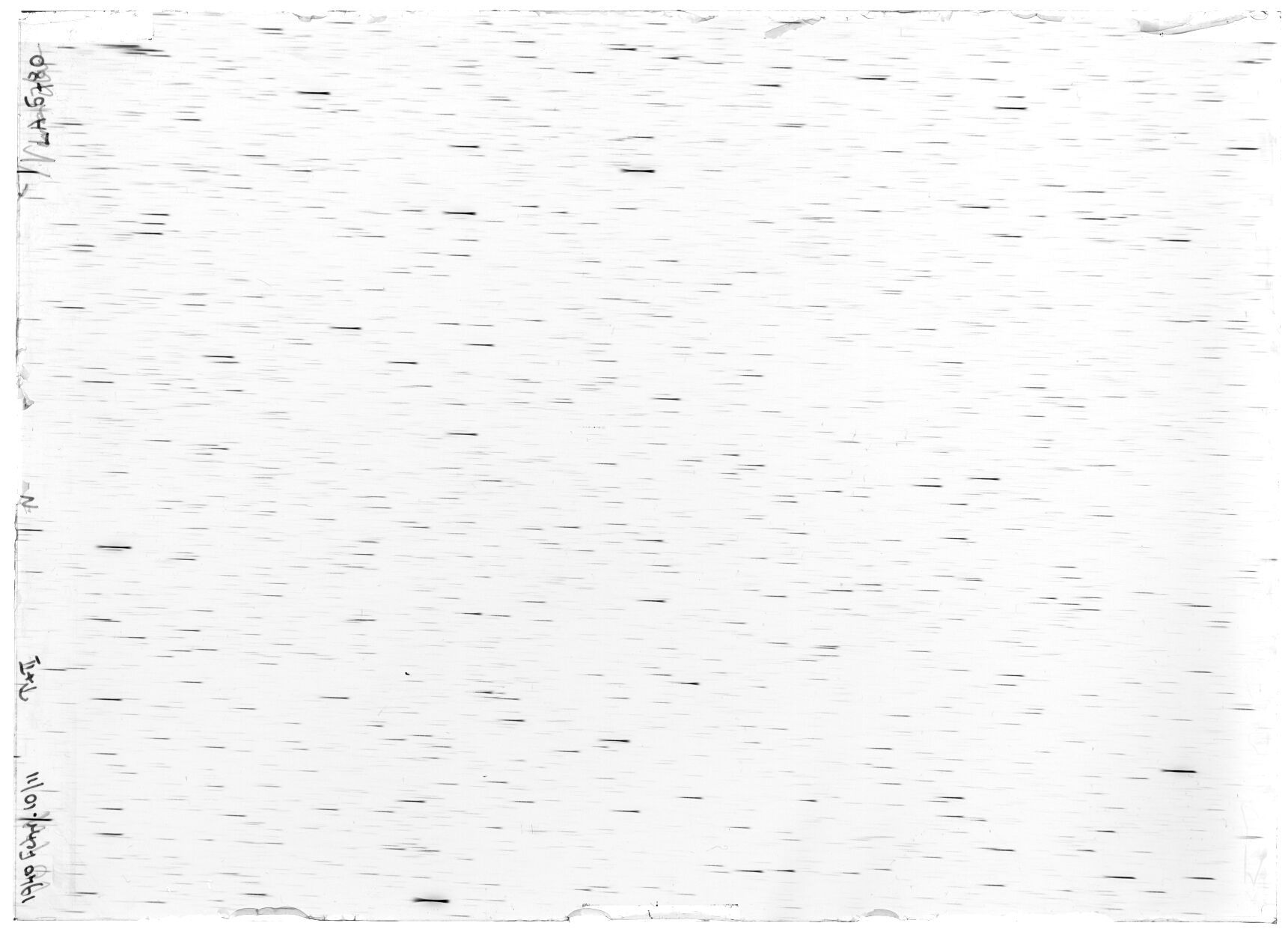 Scan LA05780