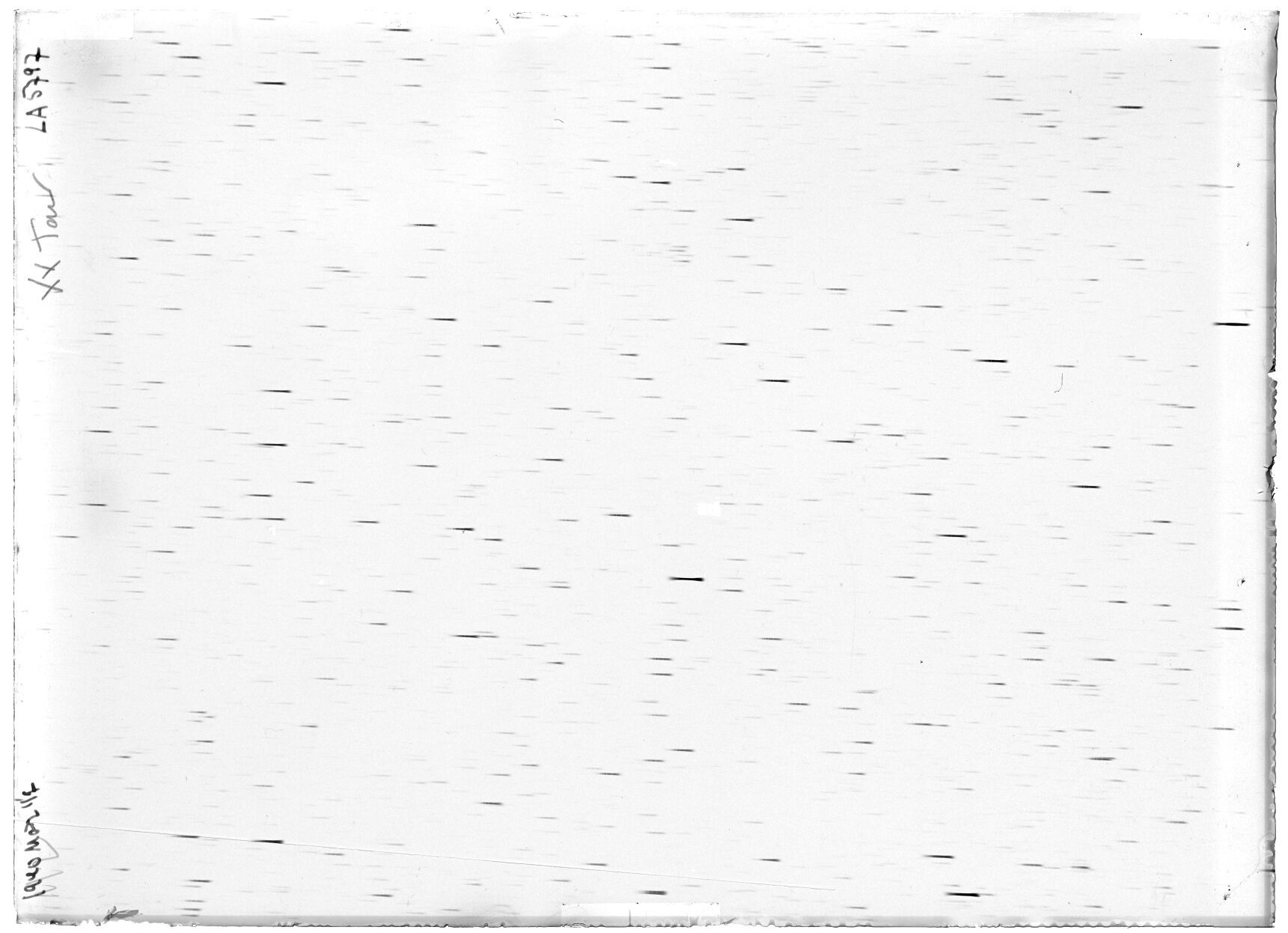 Scan LA05797