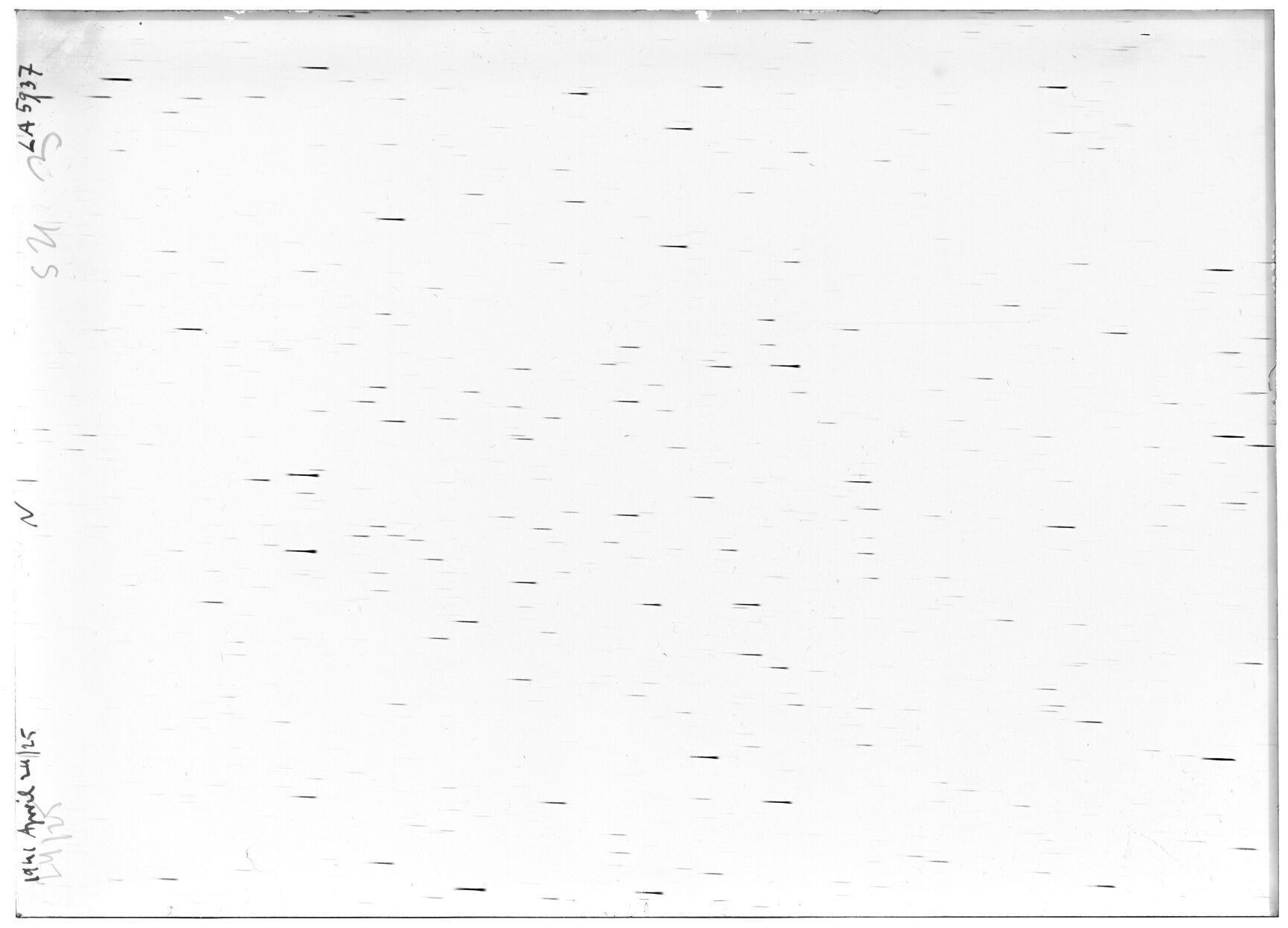 Scan LA05937