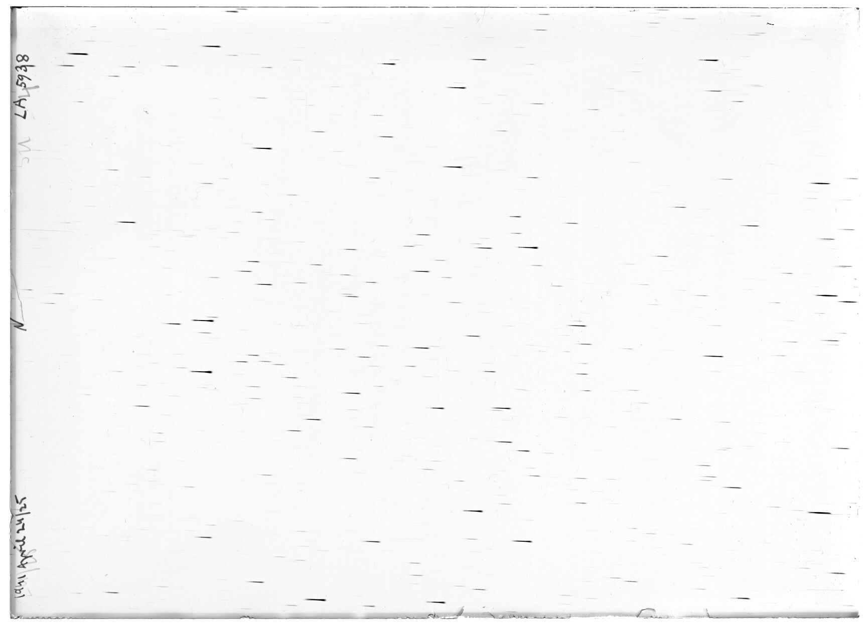 Scan LA05938