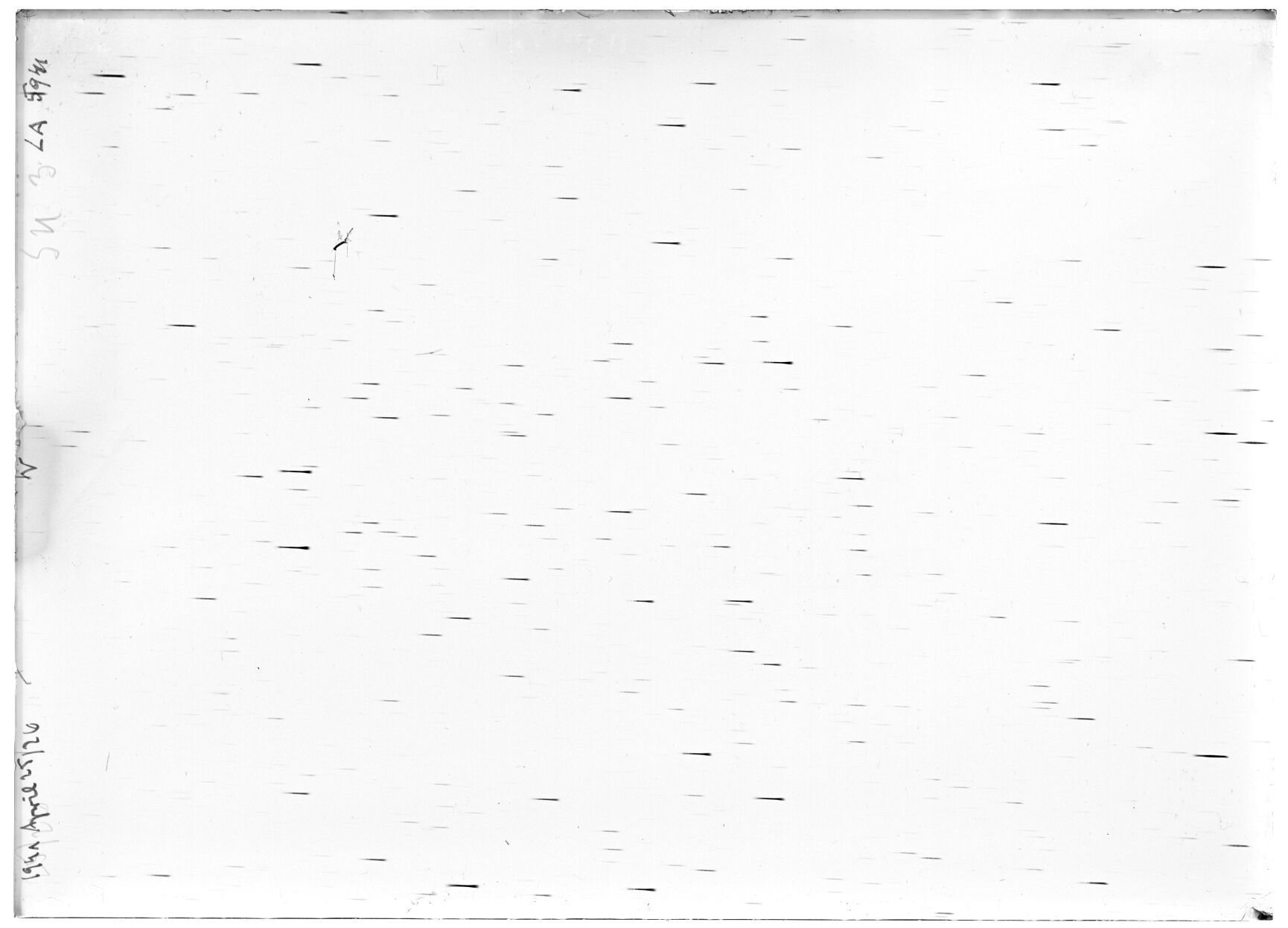 Scan LA05941