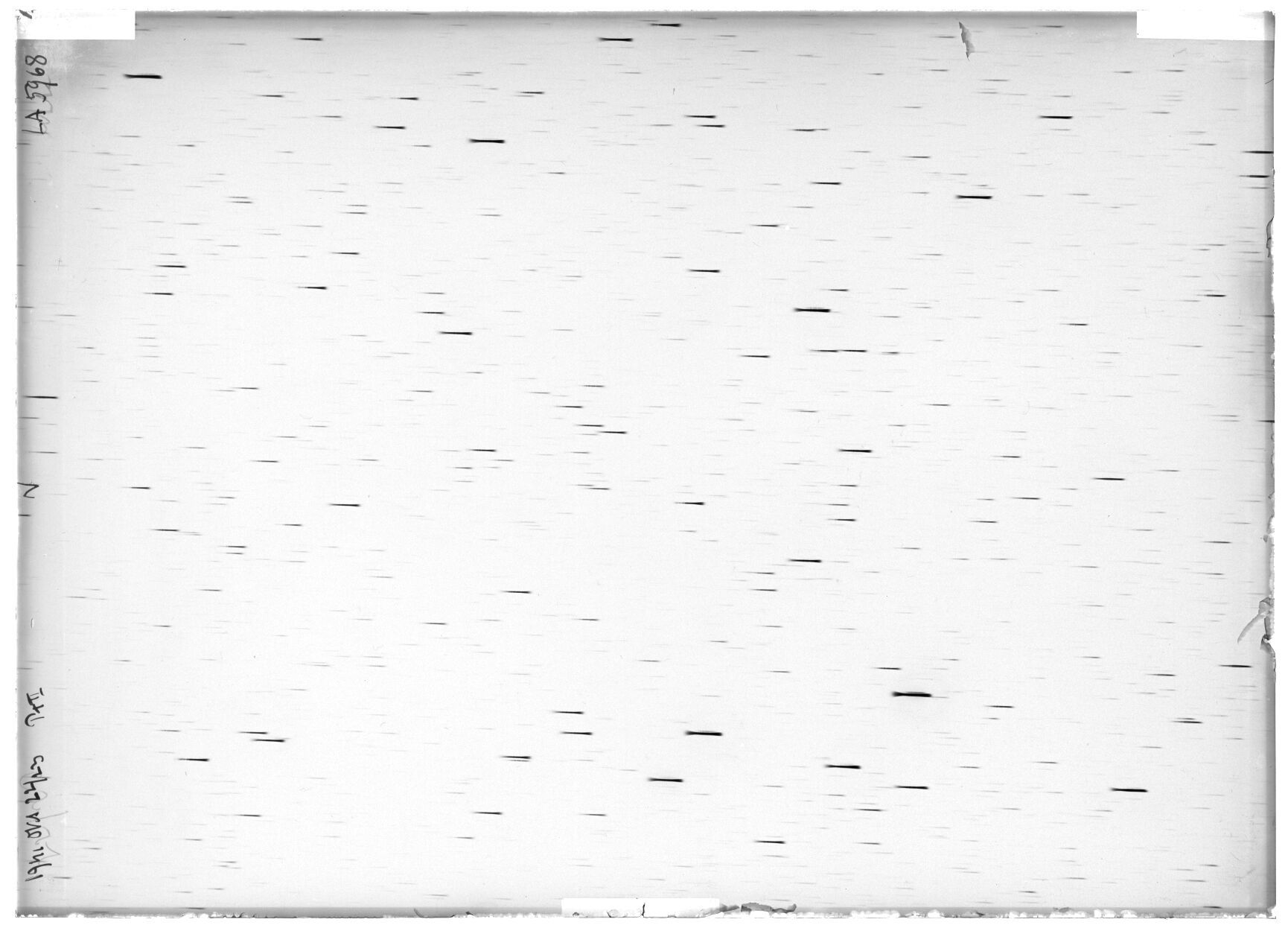 Scan LA05968